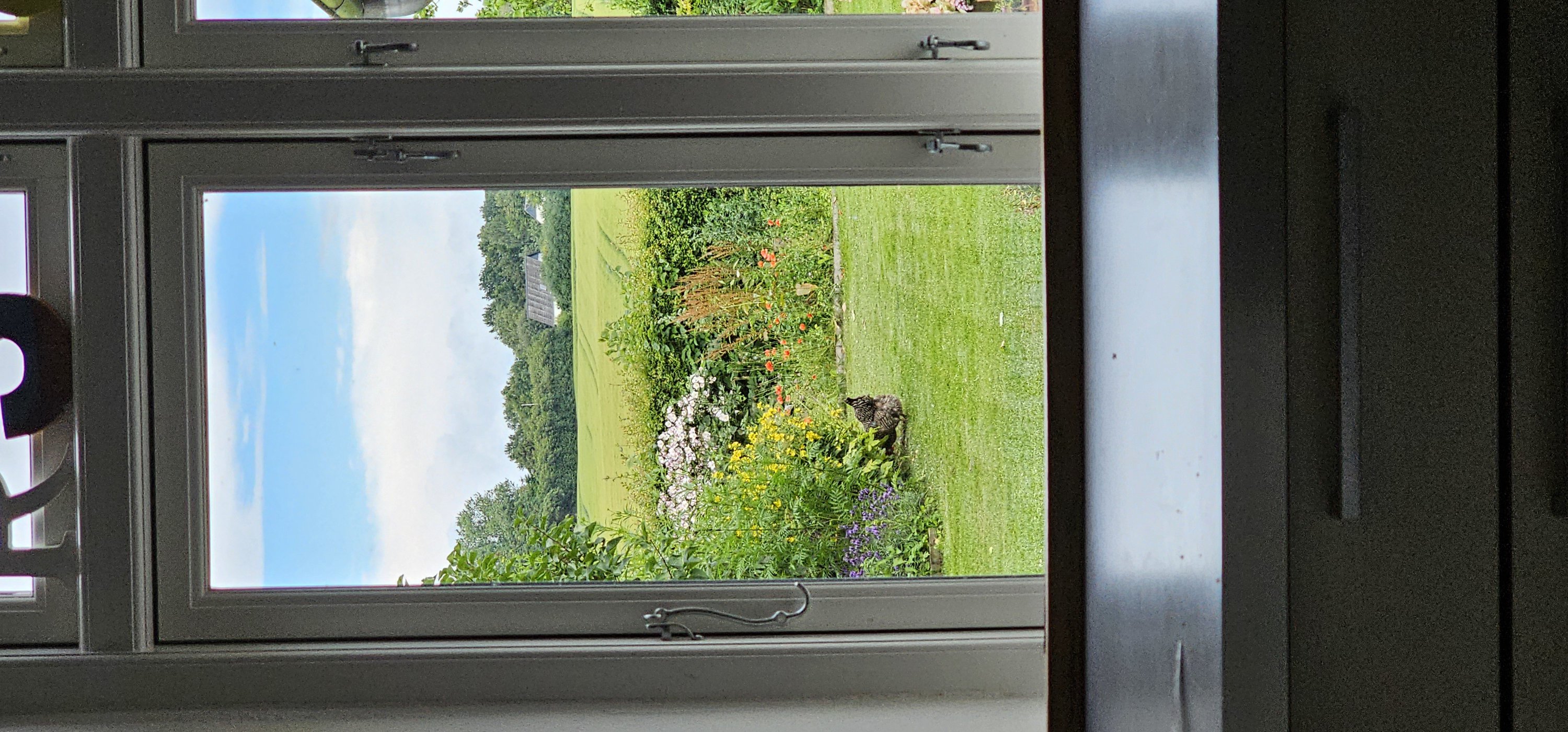 Fremhævet  billede i fuldskærmstilstand. Billede af Odensevej 56, Hjulby, 5800 Nyborg