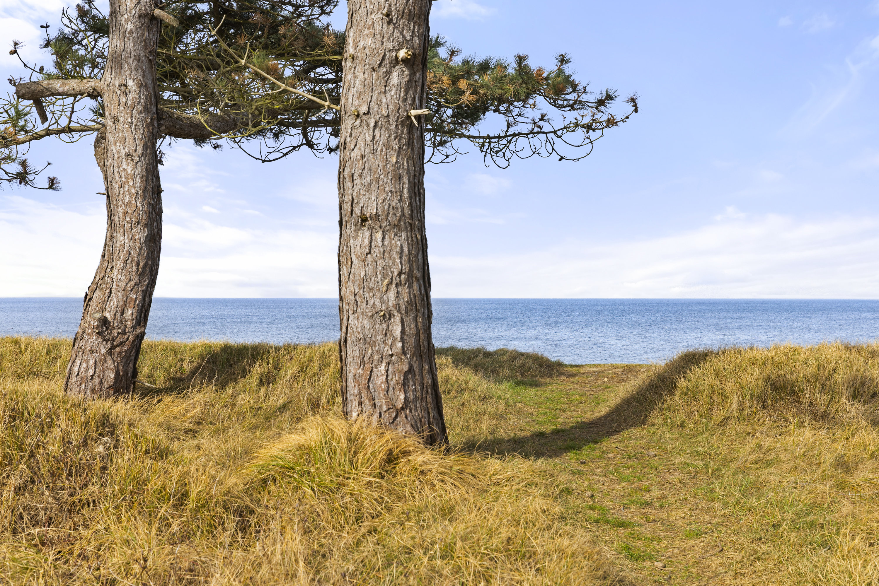 Fremhævet område billede i fuldskærmstilstand. Billede af Elverhøjen 6, 4400 Kalundborg