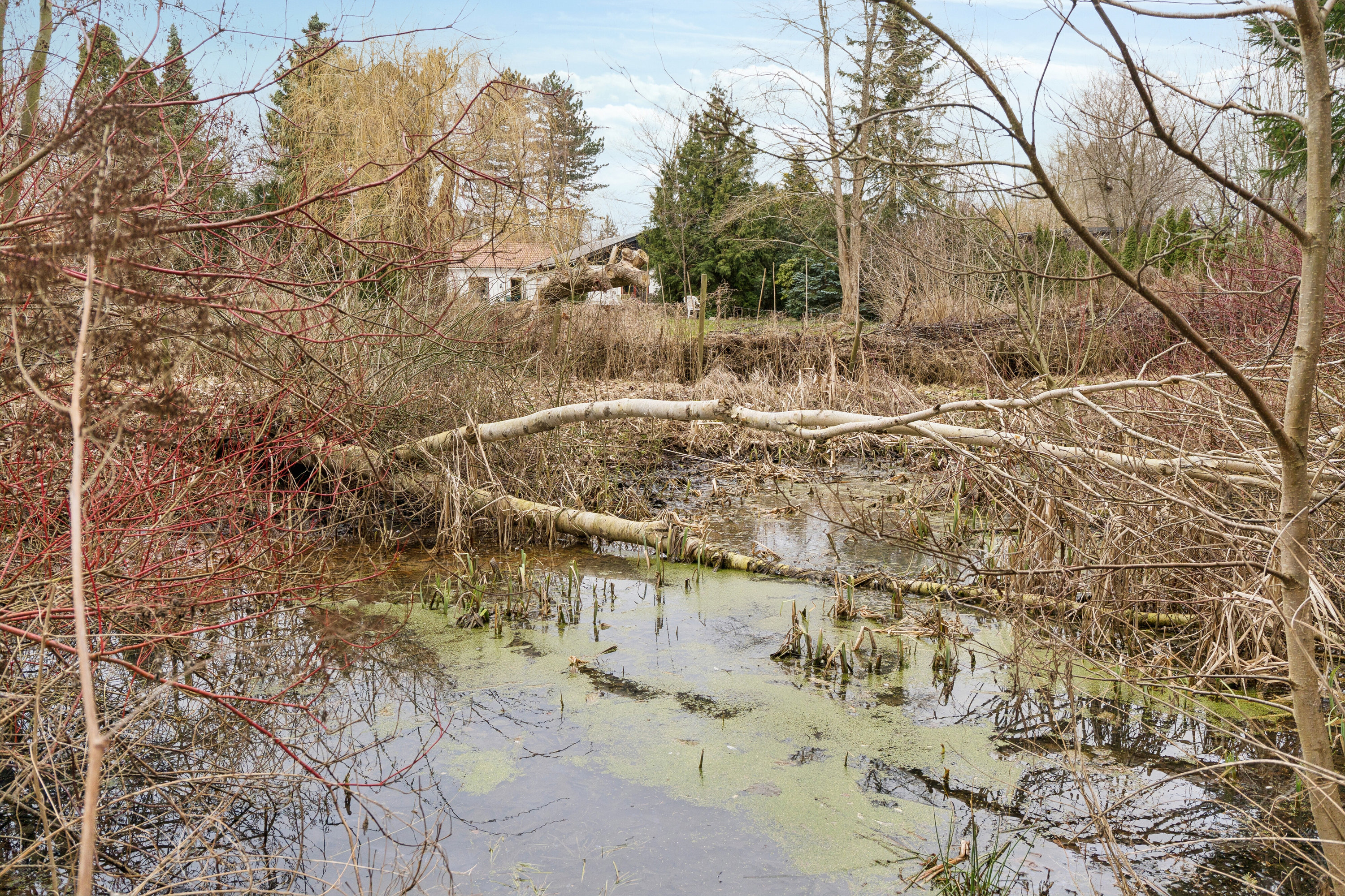 Fremhævet udsigt billede i fuldskærmstilstand. Billede af Vejenbrødvej 34, 2980 Kokkedal