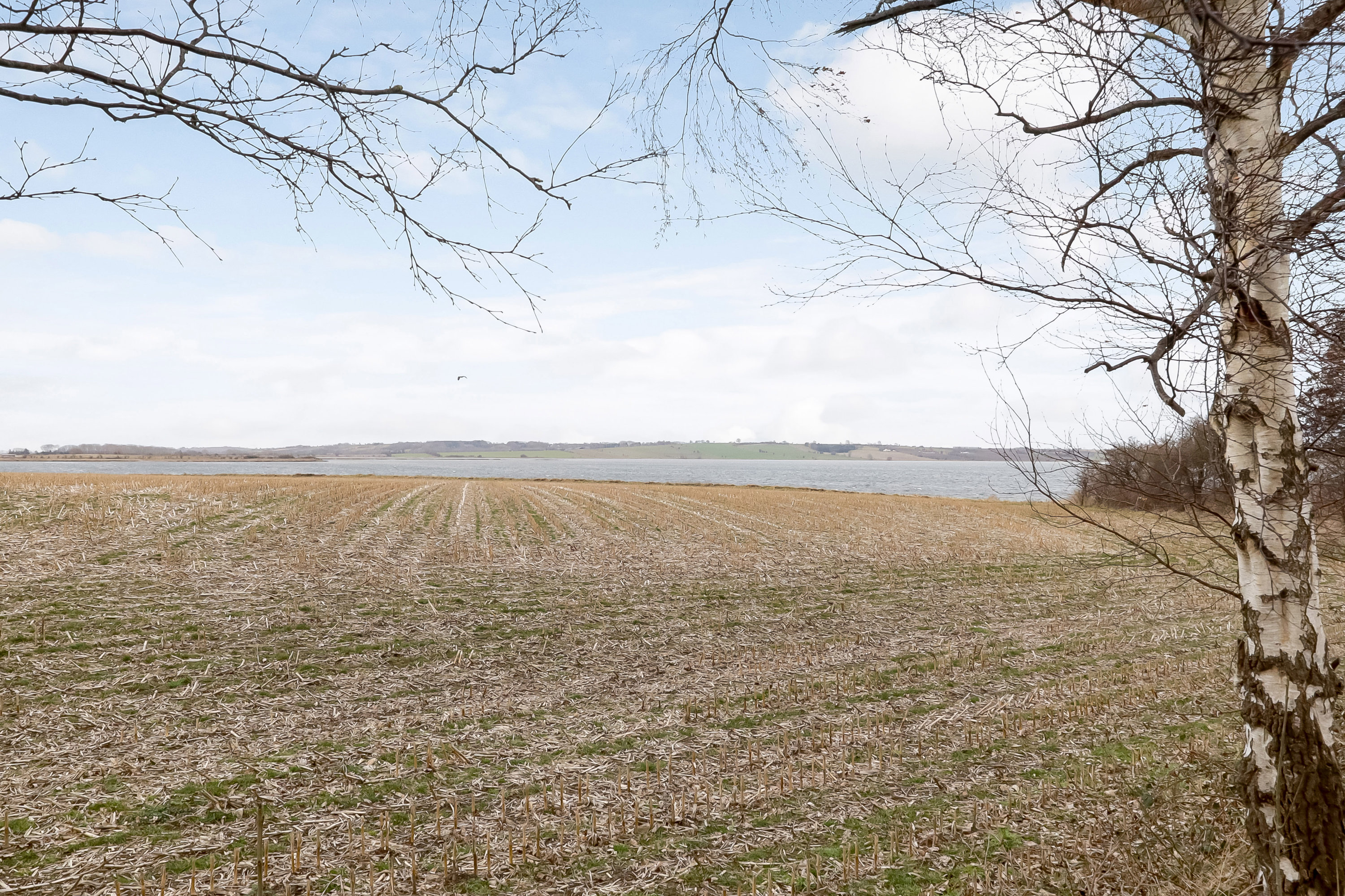 Fremhævet  billede i fuldskærmstilstand. Billede af Vesterskovsvej 33, Ommel, 5960 Marstal