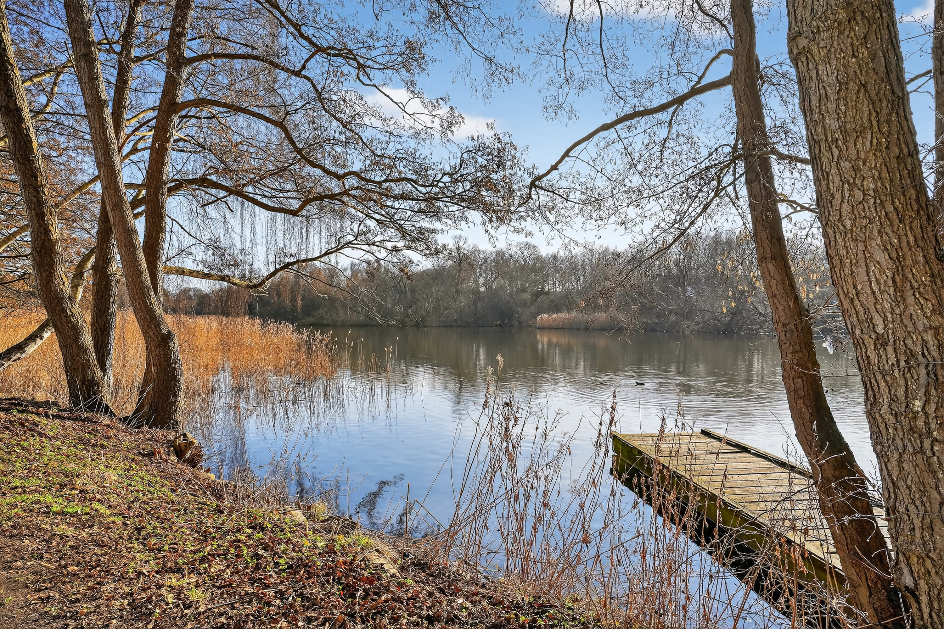 Fremhævet område billede i fuldskærmstilstand. Billede af Mølleåparken 15, st.. tv., 2800 Kongens Lyngby