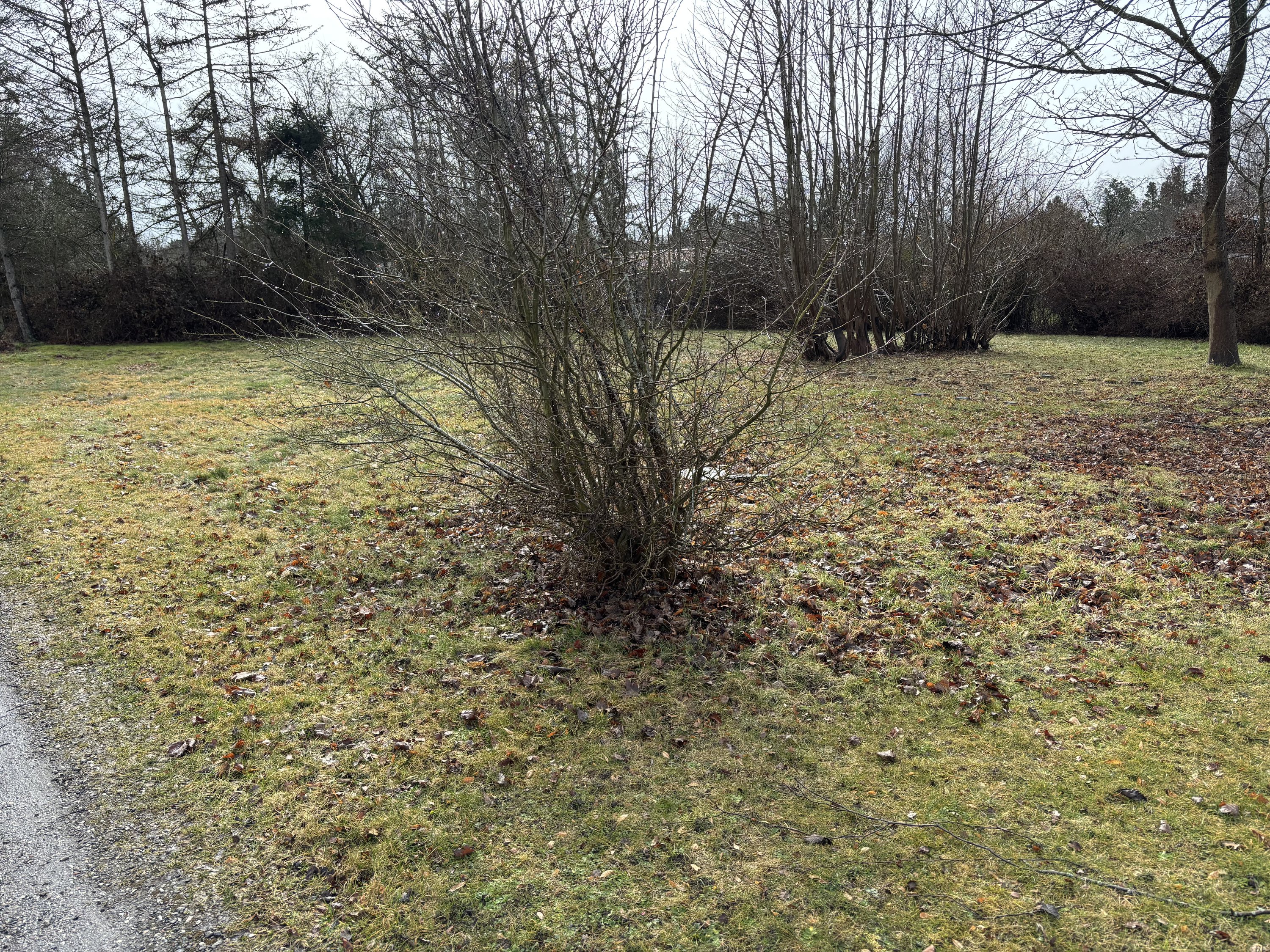 Fritidsgrund på Stubbegårdsparken 139, 4900 Nakskov