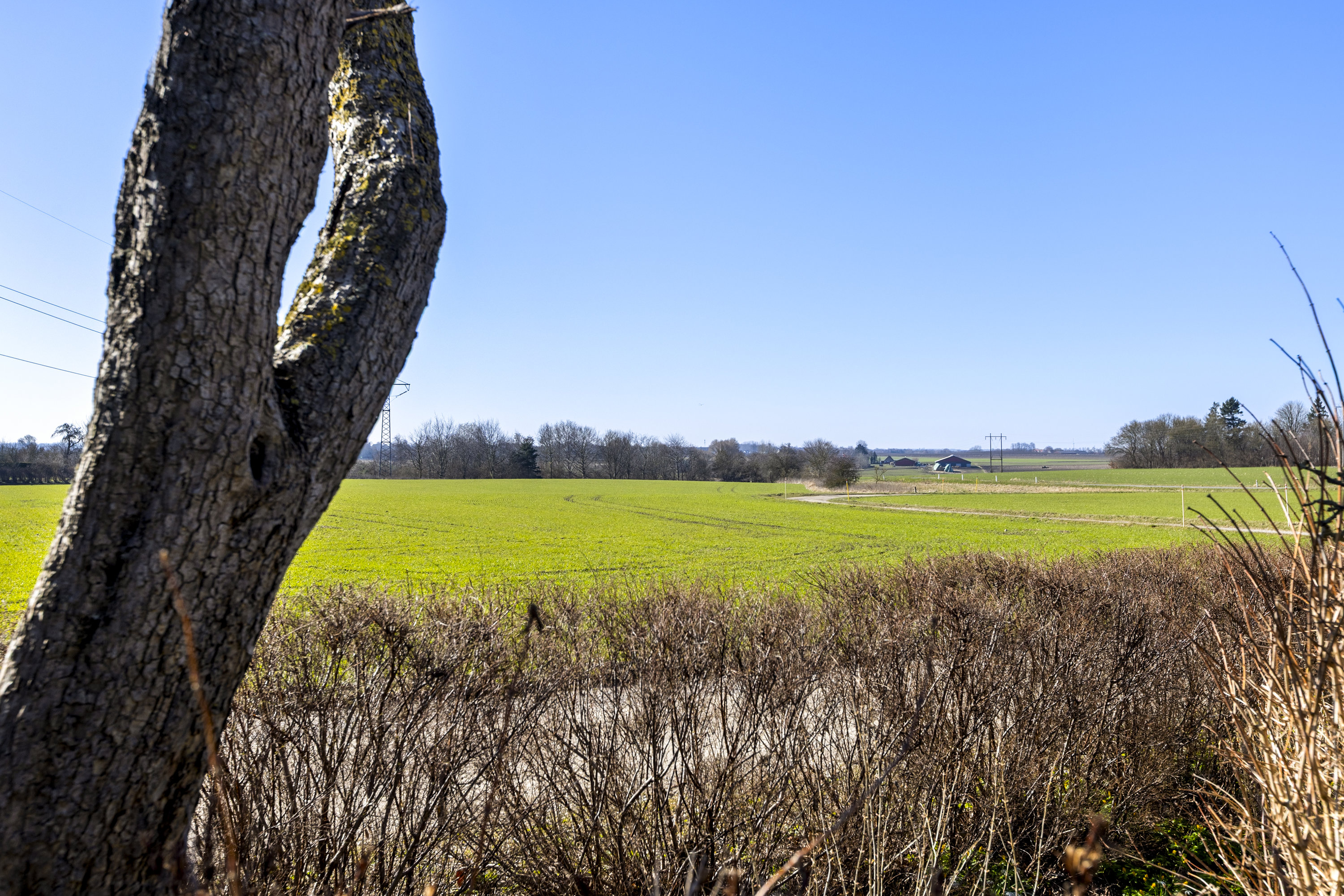 Fremhævet udsigt billede i fuldskærmstilstand. Billede af Stærremarksvej 6, Hejninge, 4200 Slagelse