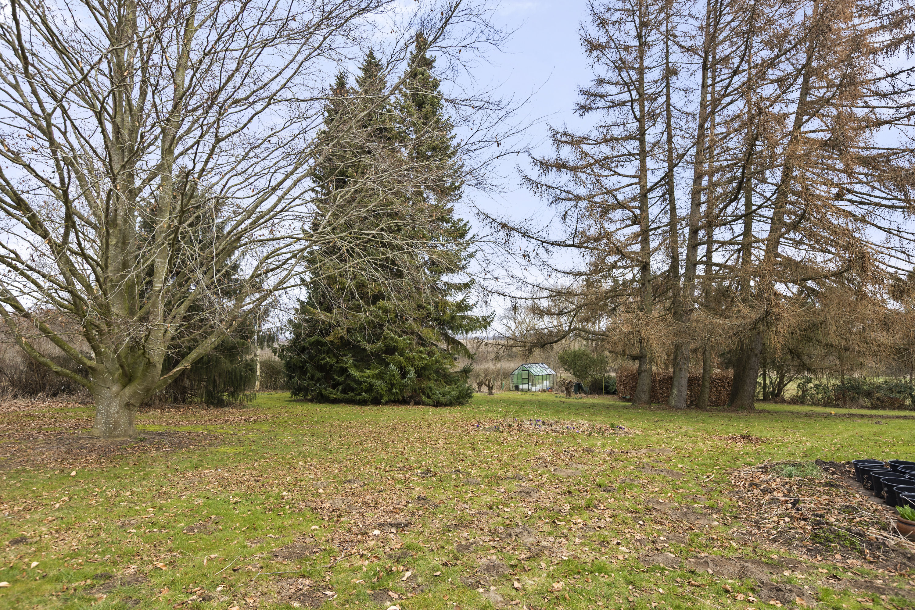 Fremhævet have billede i fuldskærmstilstand. Billede af Klintemarksvej 19B, Tybjerg, 4100 Ringsted