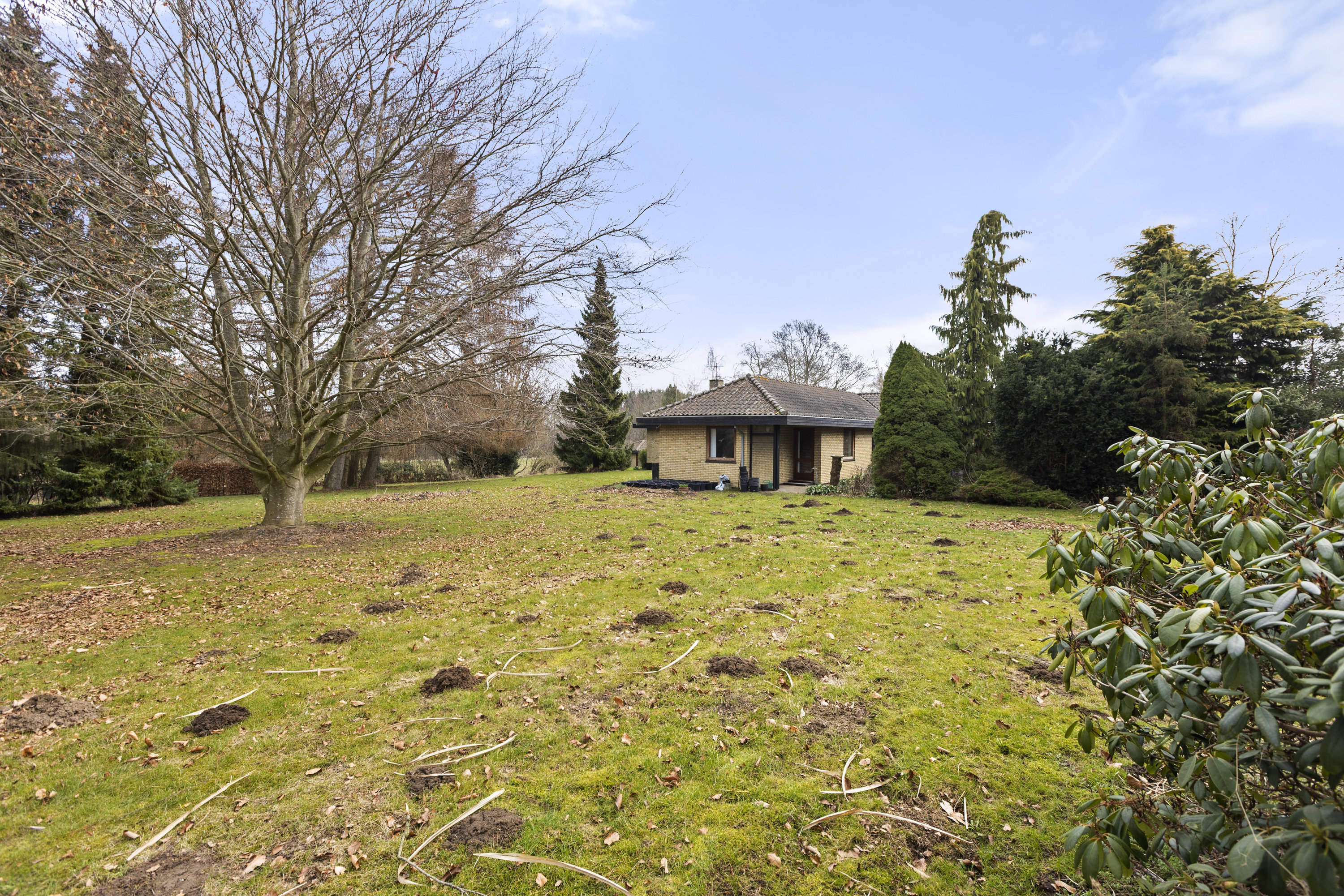 Fremhævet have billede i fuldskærmstilstand. Billede af Klintemarksvej 19B, Tybjerg, 4100 Ringsted