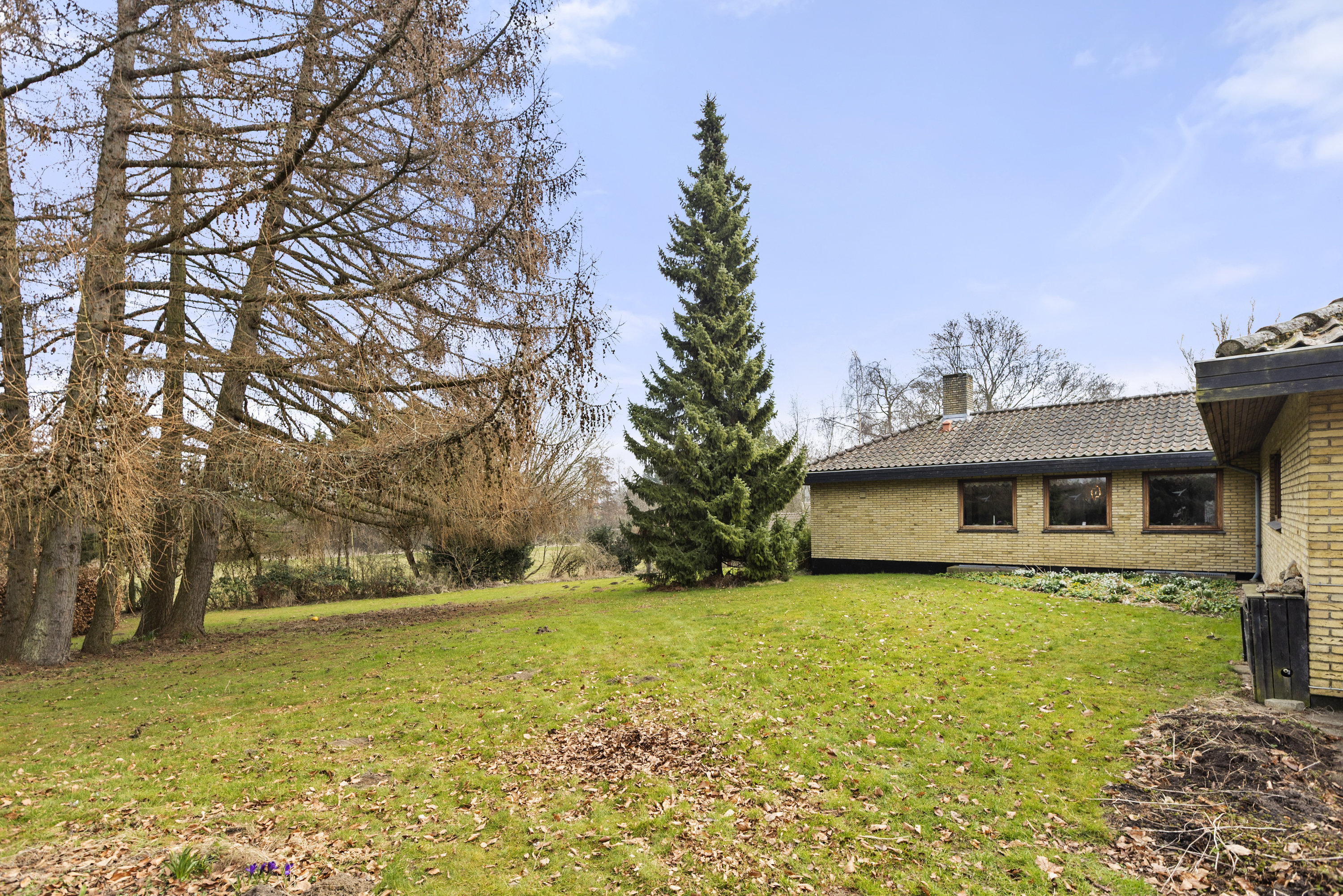 Fremhævet have billede i fuldskærmstilstand. Billede af Klintemarksvej 19B, Tybjerg, 4100 Ringsted