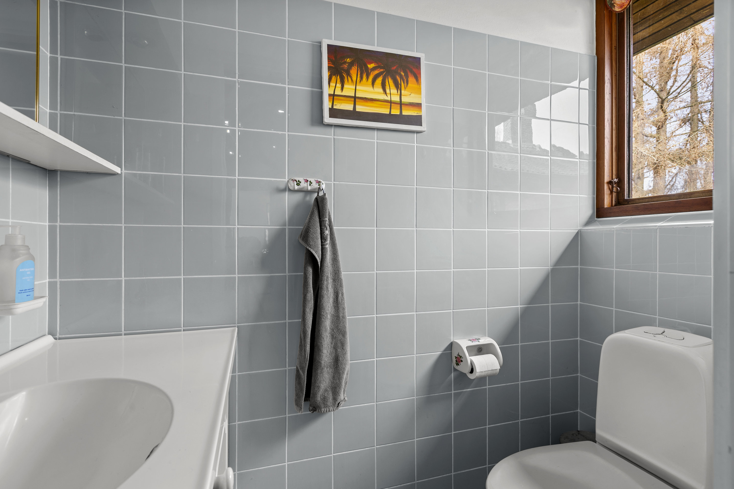 Fremhævet toilet billede i fuldskærmstilstand. Billede af Klintemarksvej 19B, Tybjerg, 4100 Ringsted