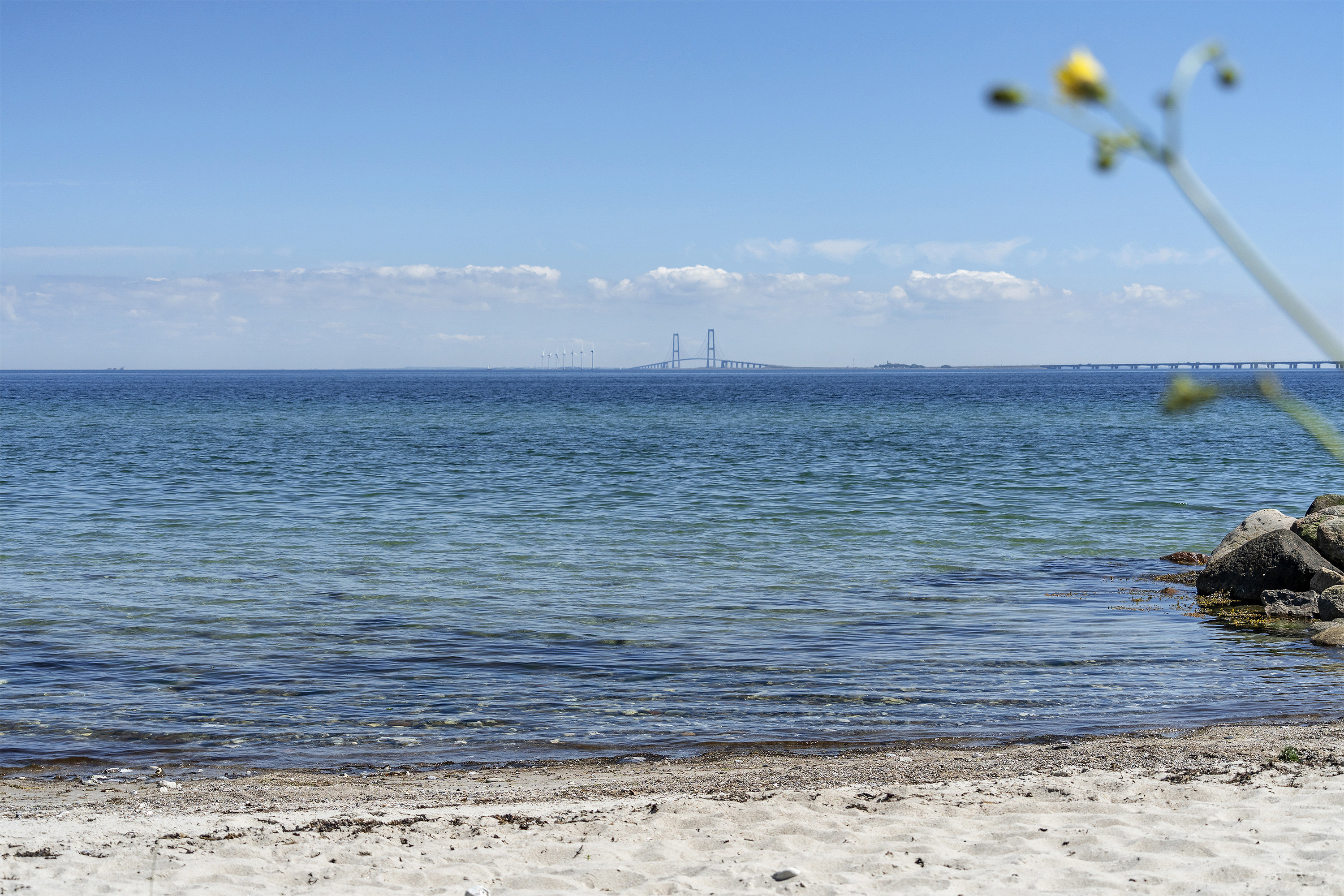 Fremhævet  billede i fuldskærmstilstand. Billede af Strandalleen 93, 5800 Nyborg