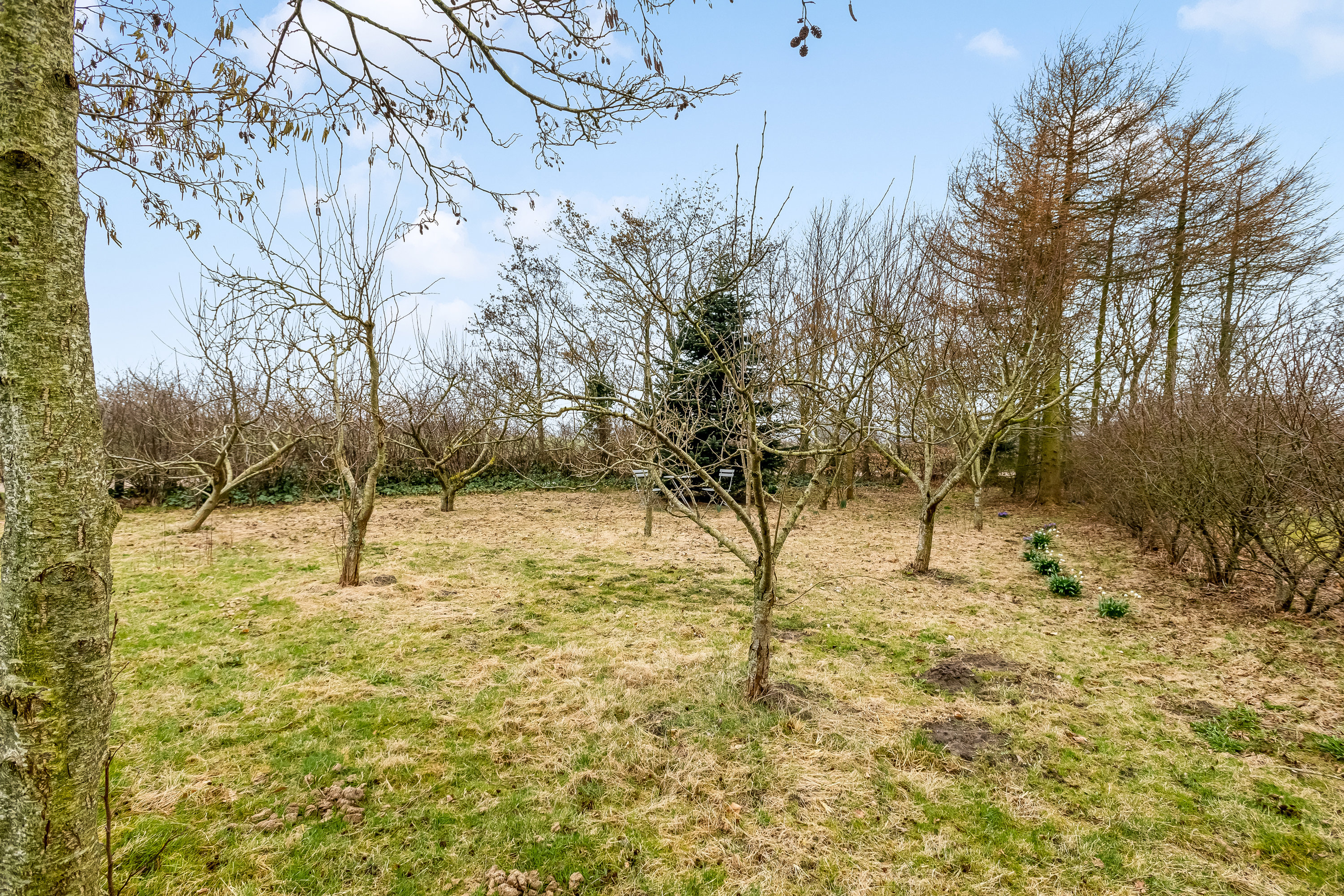 Fremhævet have billede i fuldskærmstilstand. Billede af Vestervej 10, 6980 Tim