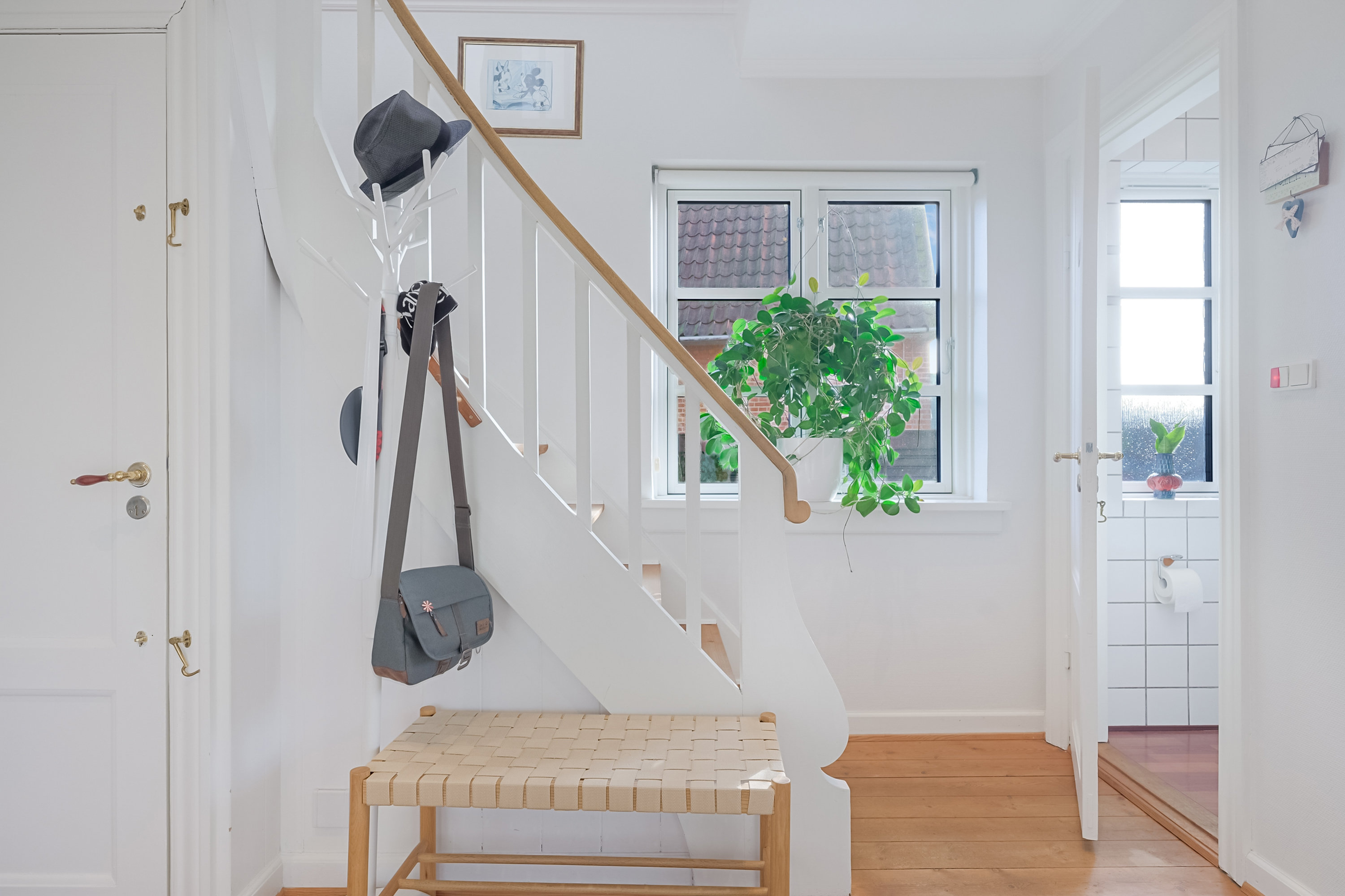 Fremhævet entré billede i fuldskærmstilstand. Billede af Rosenvænget 41, 5500 Middelfart