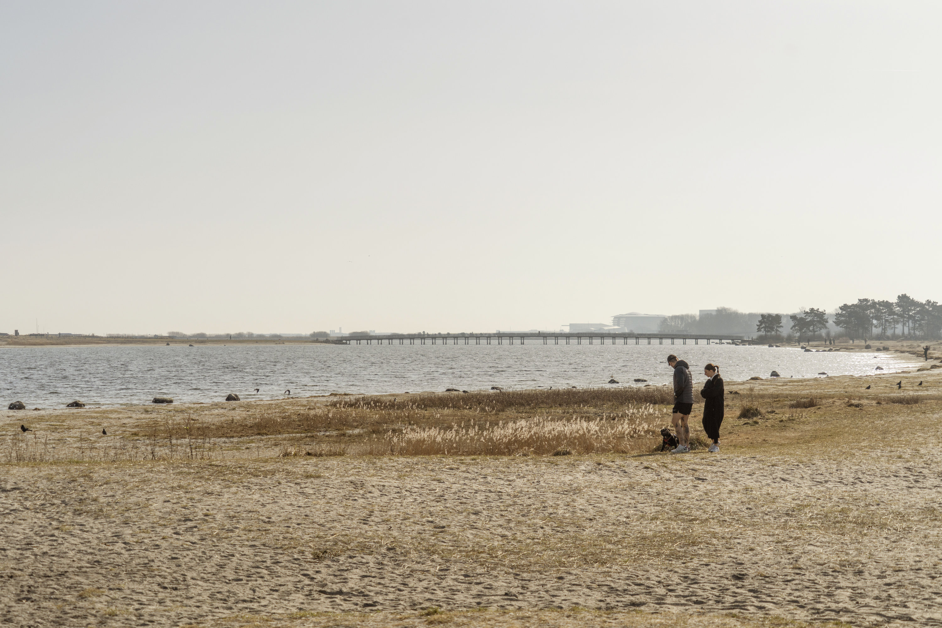 Fremhævet  billede i fuldskærmstilstand. Billede af Siciliensgade 9, 5. th., 2300 København S
