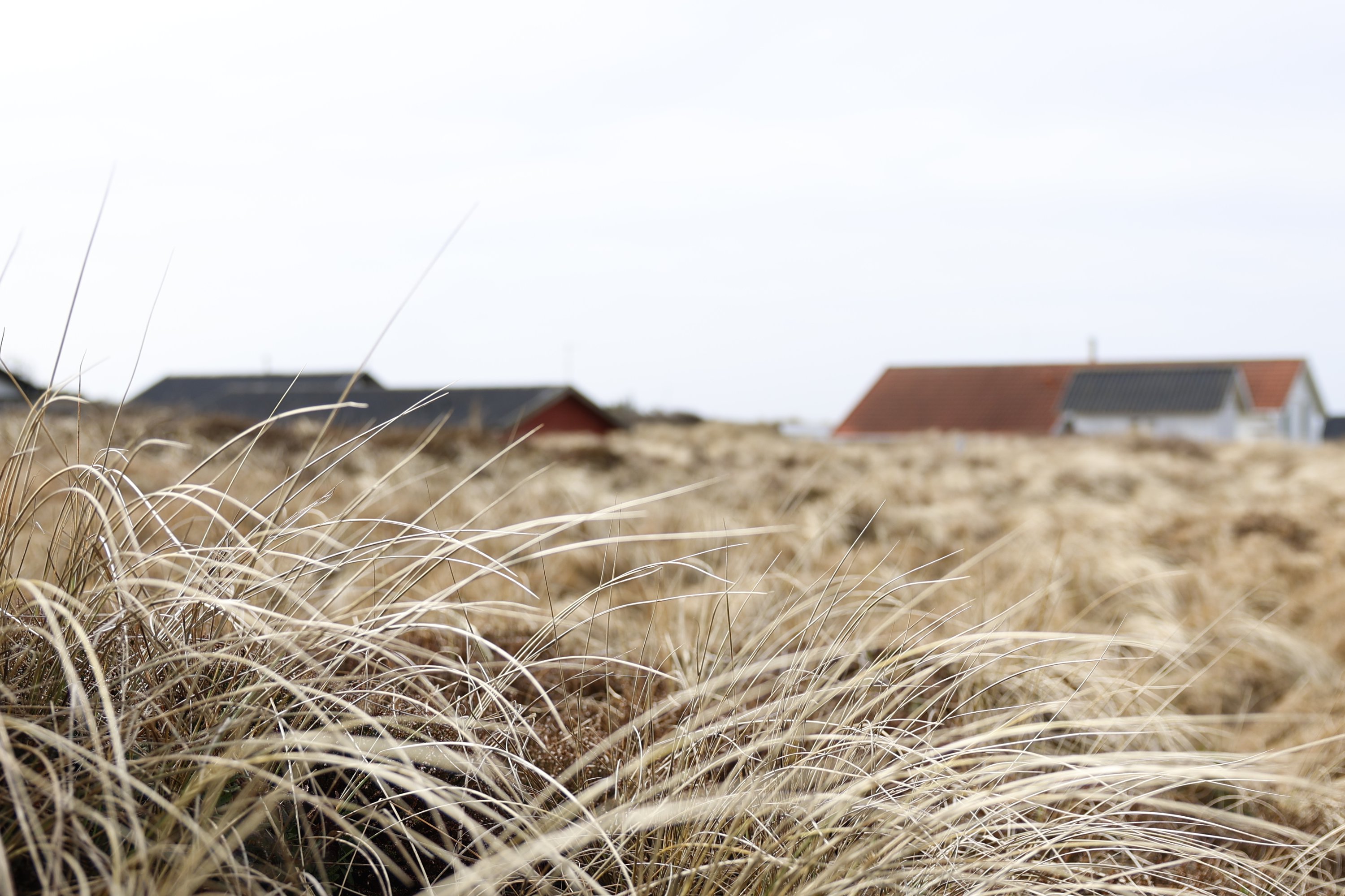 Miniaturebillede 1: . Billede af Svenstibakkevej 15, Lild Strand, 7741 Frøstrup