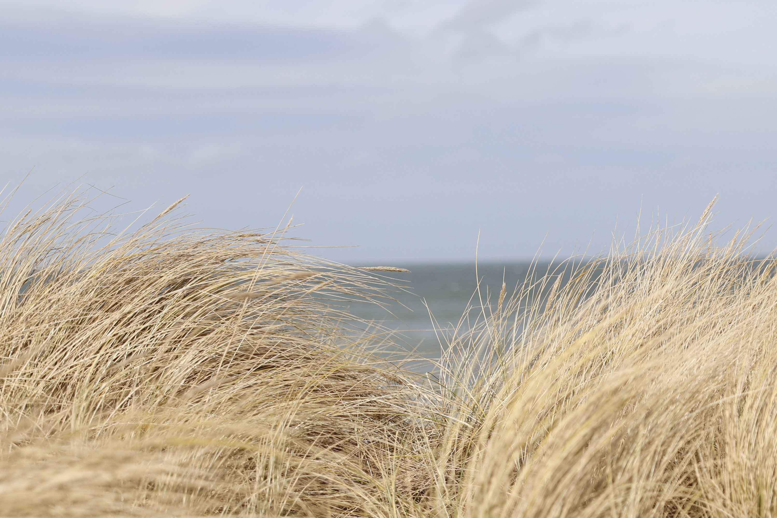 Fremhævet  billede i fuldskærmstilstand. Billede af Svenstibakkevej 15, Lild Strand, 7741 Frøstrup