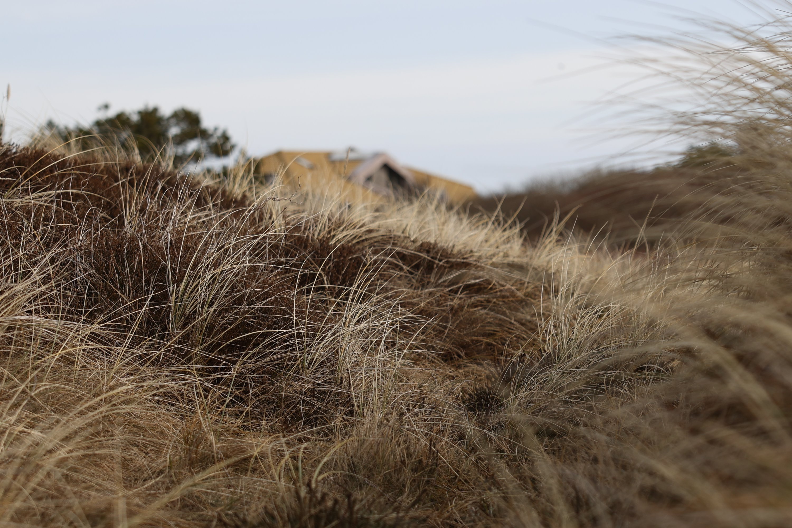 Fremhævet  billede i fuldskærmstilstand. Billede af Svenstibakkevej 15, Lild Strand, 7741 Frøstrup