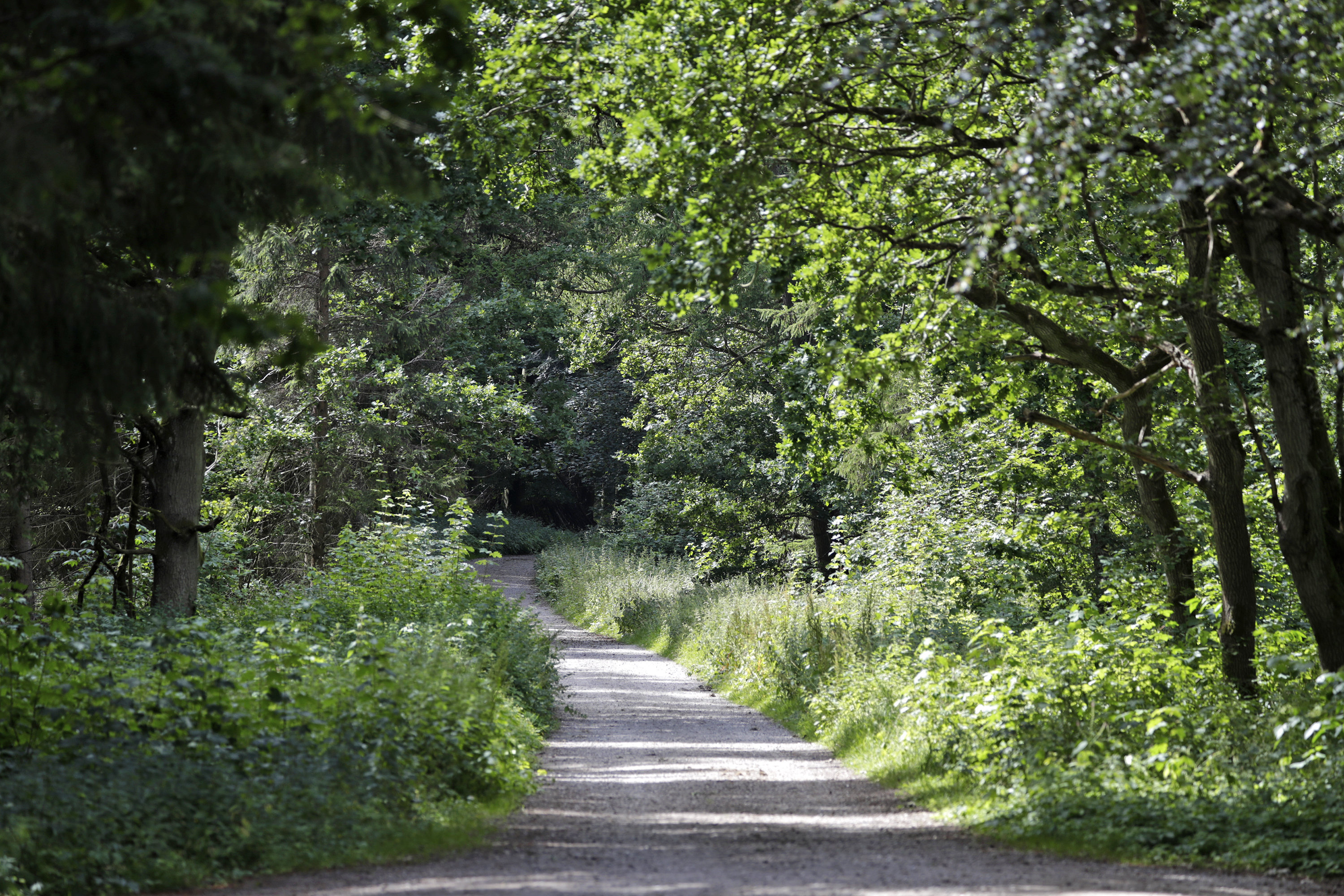 Fremhævet  billede i fuldskærmstilstand. Billede af Nordvejen 3, Vellerup, 4050 Skibby