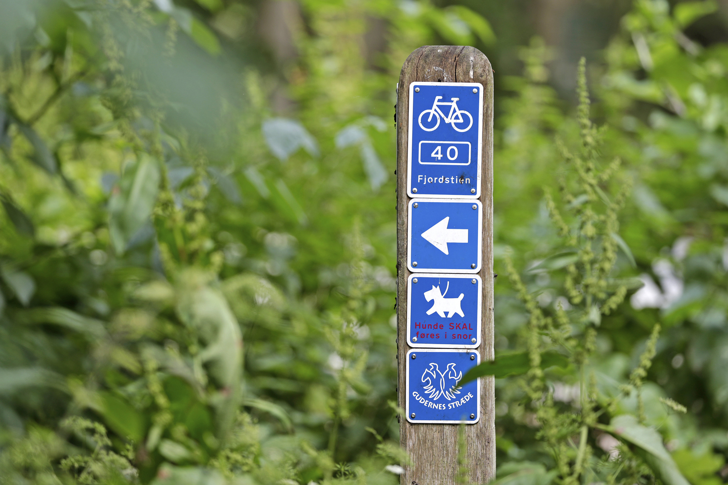 Fremhævet  billede i fuldskærmstilstand. Billede af Nordvejen 3, Vellerup, 4050 Skibby