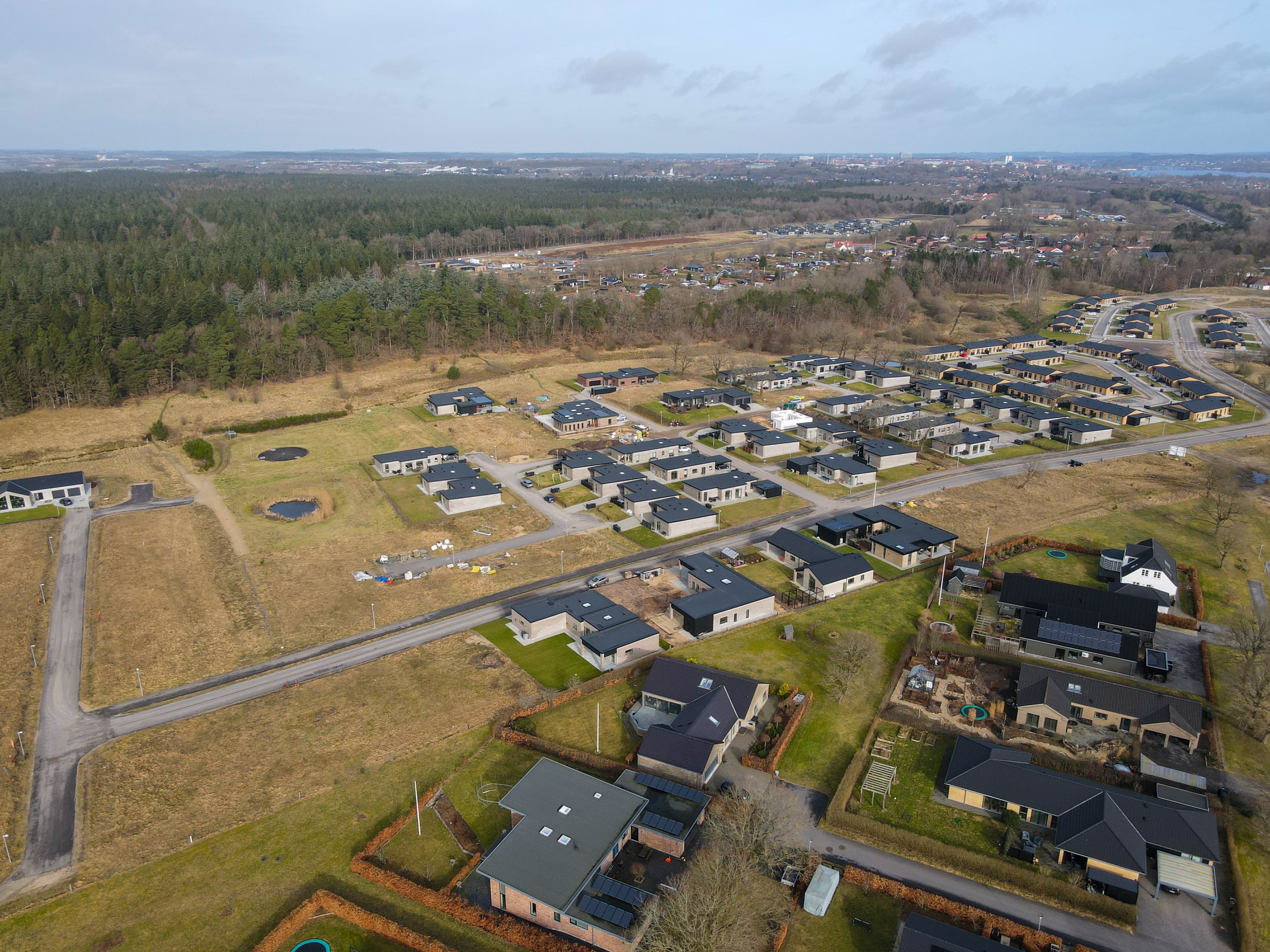 Fremhævet andet billede i fuldskærmstilstand. Billede af Kolbæk Mark 53, Hald Ege, 8800 Viborg