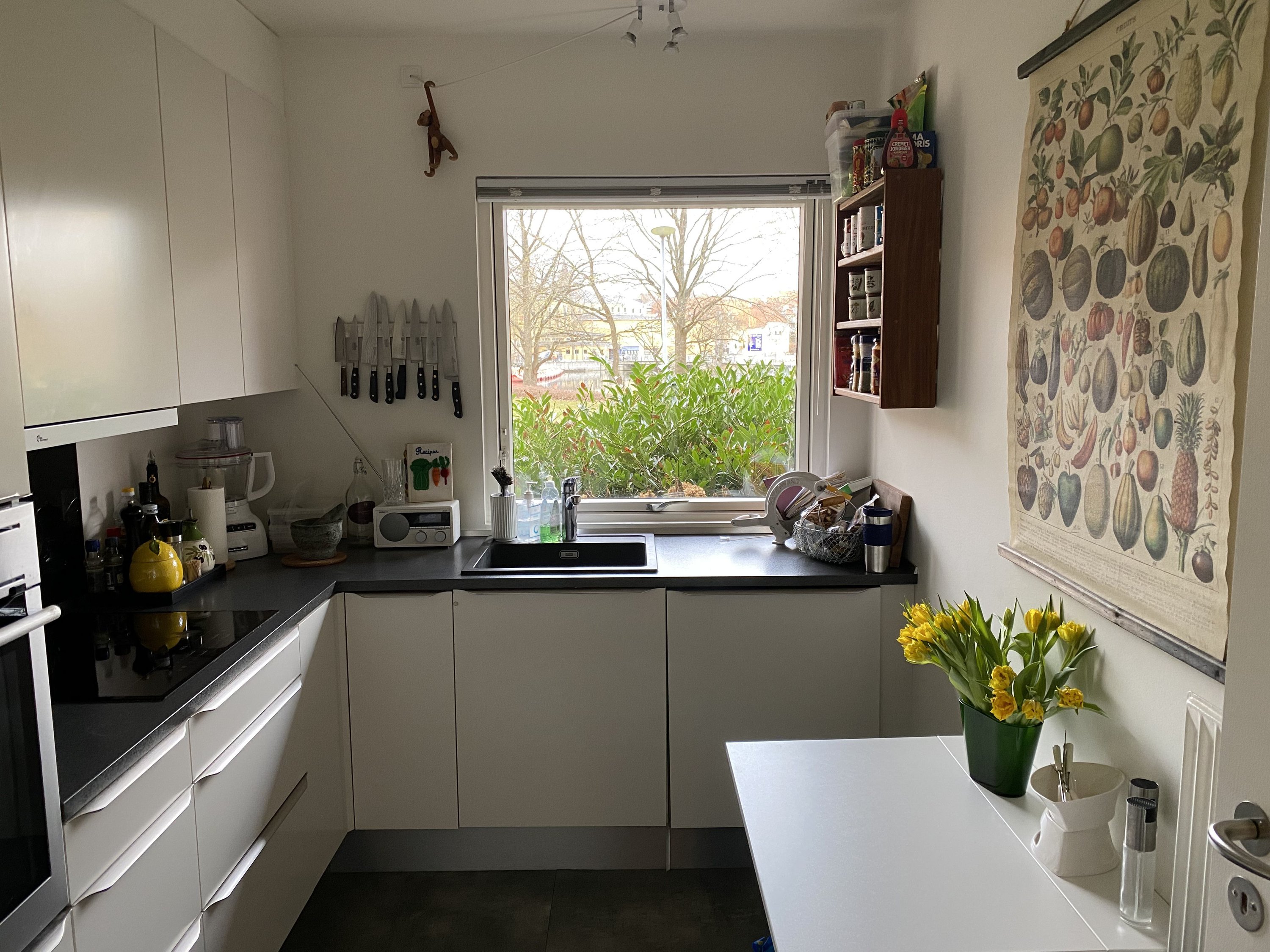 Fremhævet  billede i fuldskærmstilstand. Billede af Filosofgangen 92, 5000 Odense C