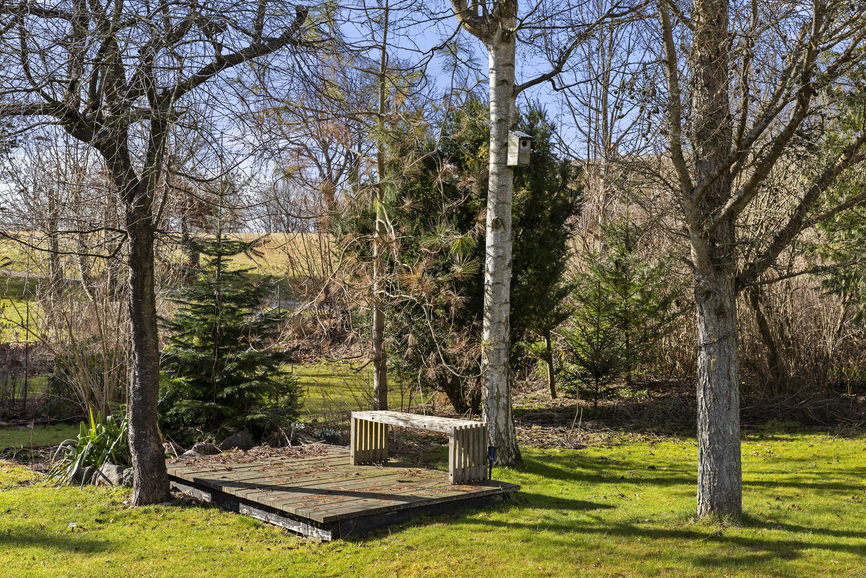 Fremhævet have billede i fuldskærmstilstand. Billede af Haraldstedvej 64, Haraldsted, 4100 Ringsted