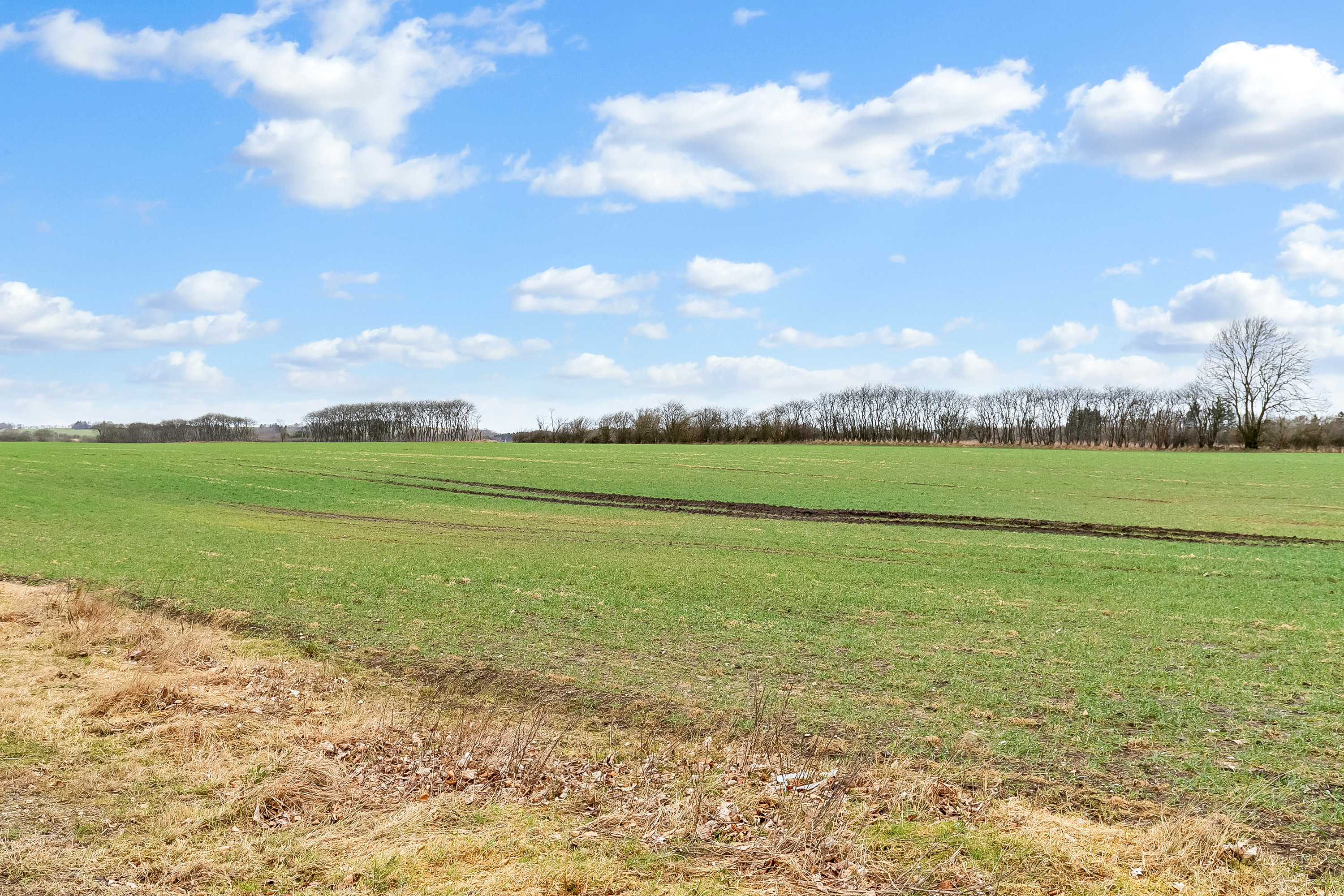 Fremhævet udsigt billede i fuldskærmstilstand. Billede af Ammitsbølvej 72, Ødsted, 7100 Vejle