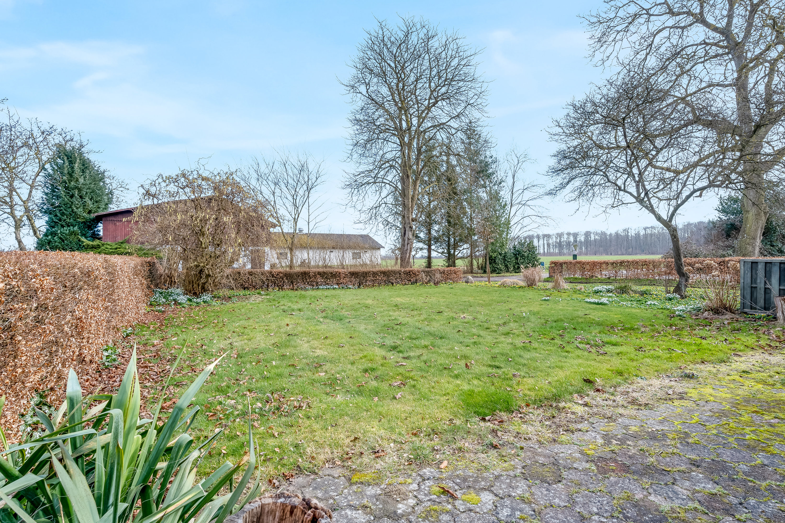 Fremhævet have billede i fuldskærmstilstand. Billede af Vestervej 8, 4983 Dannemare