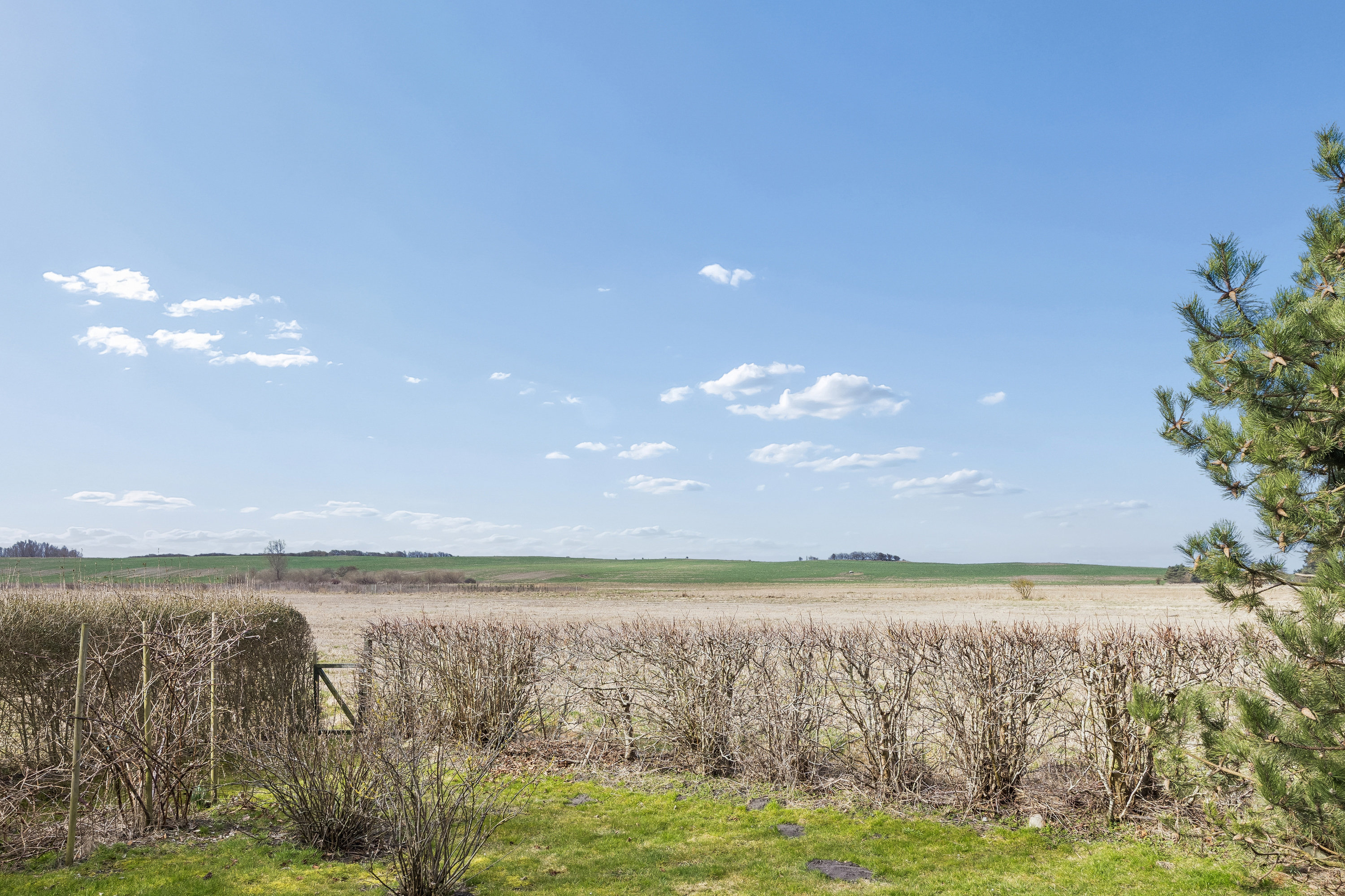 Miniaturebillede 1: omgivelser. Billede af Lærkevej 8, Reersø Str, 4281 Gørlev