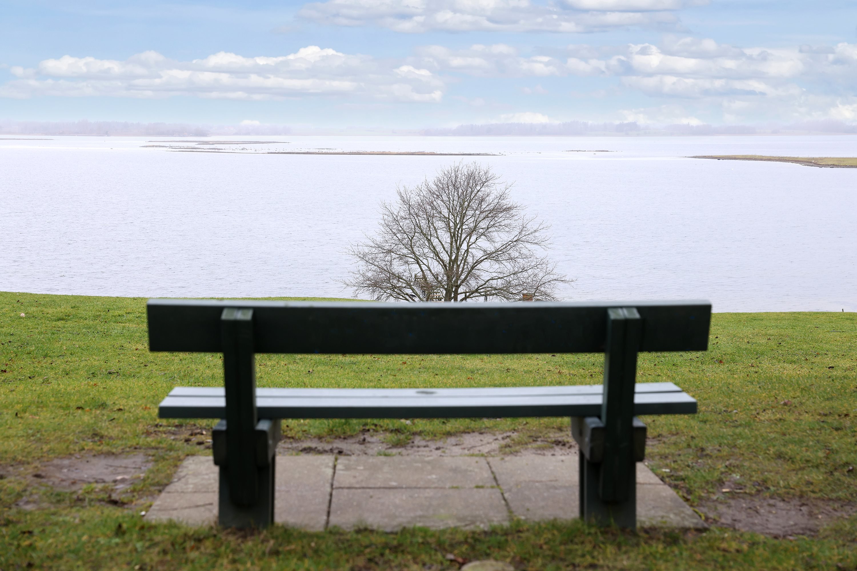 Fremhævet  billede i fuldskærmstilstand. Billede af Snekkevej 47, 4040 Jyllinge