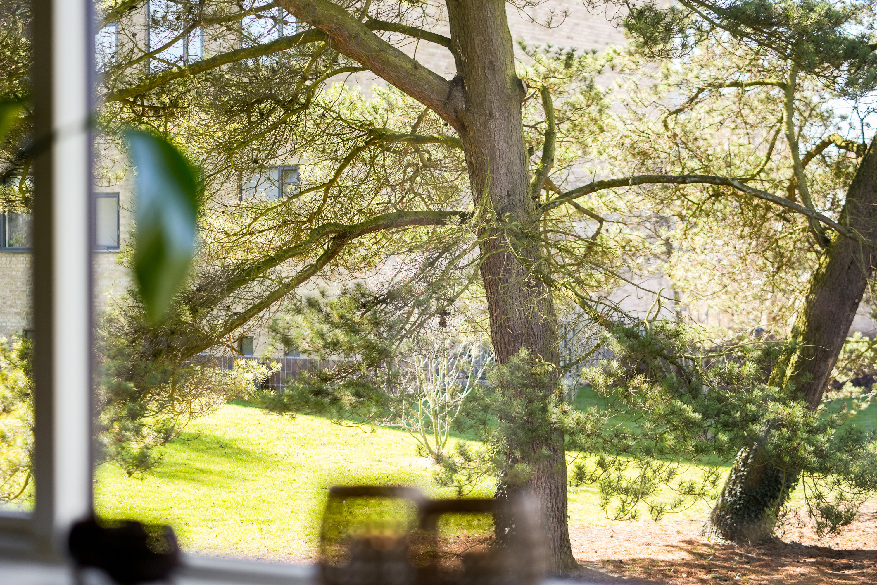 Fremhævet udsigt billede i fuldskærmstilstand. Billede af Maglemosevej 11, st.. th., 2900 Hellerup