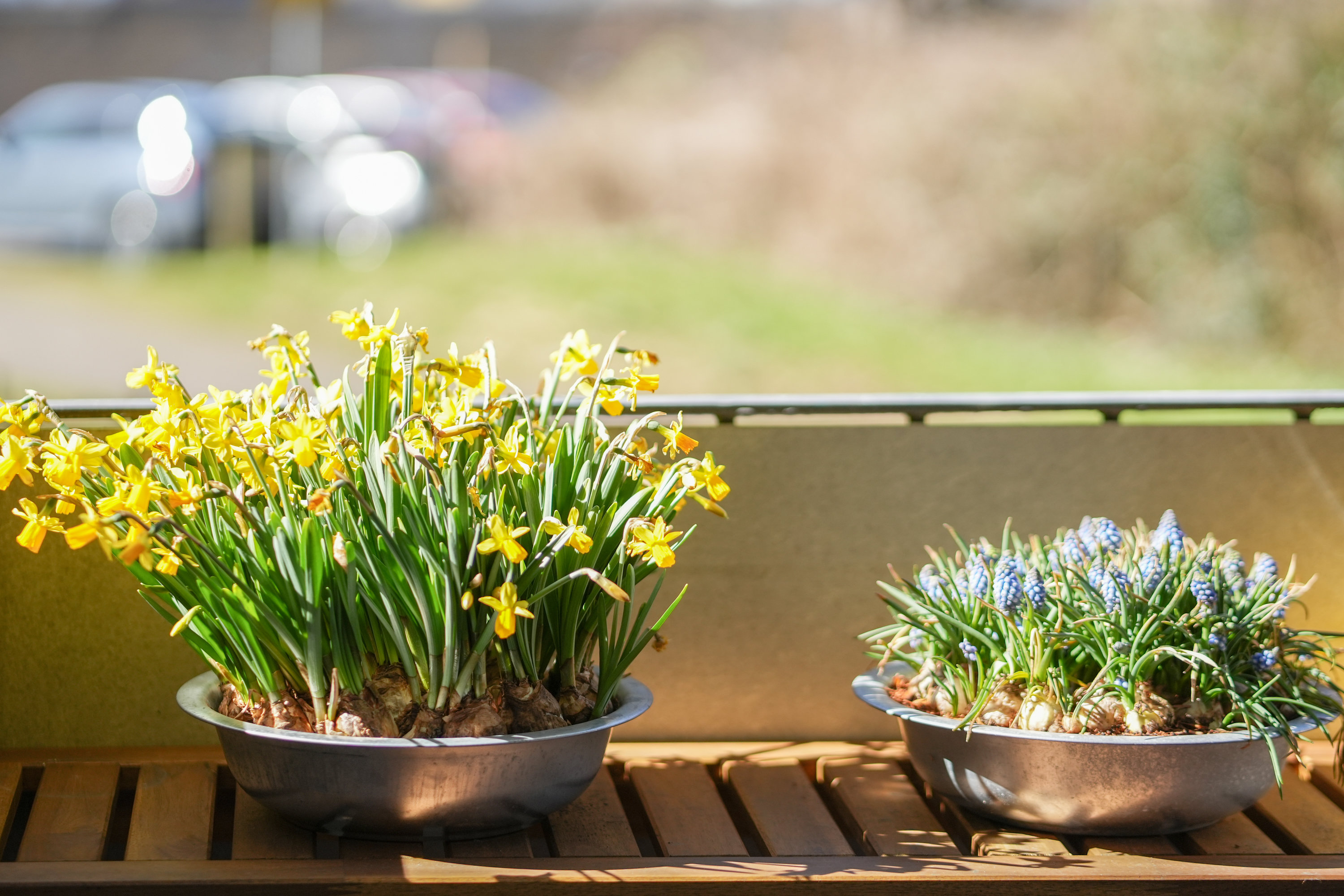 Fremhævet altan billede i fuldskærmstilstand. Billede af Maglemosevej 11, st.. th., 2900 Hellerup
