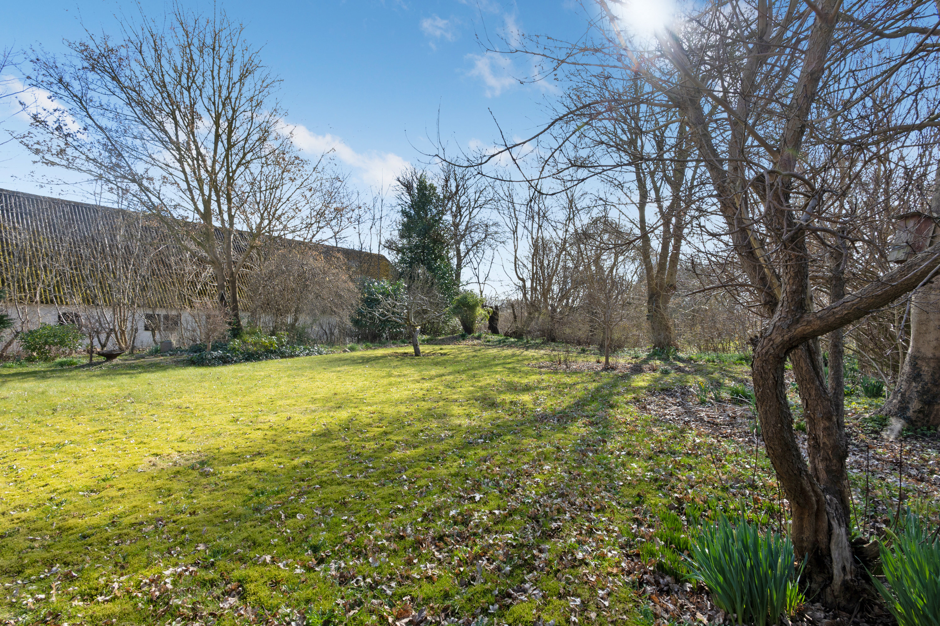 Fremhævet baghave billede i fuldskærmstilstand. Billede af Ølstedvej 22, Sdr Broby, 5672 Broby