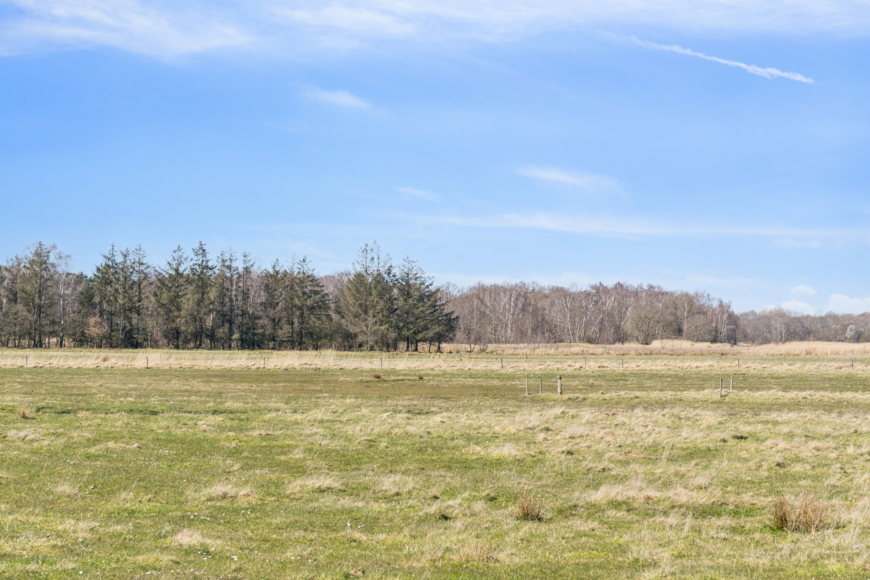 Fremhævet set fra haven billede i fuldskærmstilstand. Billede af Muslingevej 24, Seden, 5240 Odense NØ