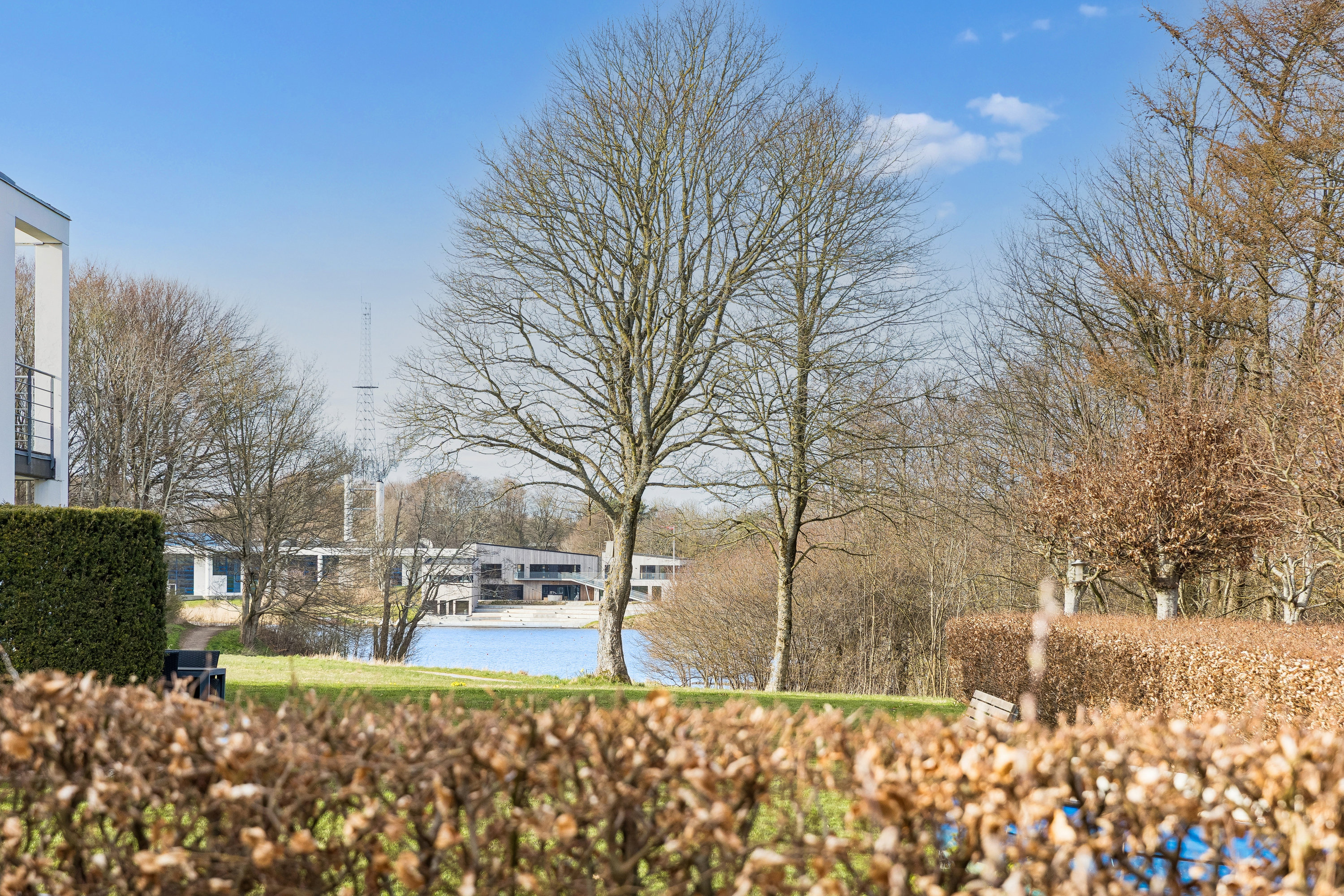 Miniaturebillede 1: have. Billede af Vedbendvej 8, Mejdal, 7500 Holstebro