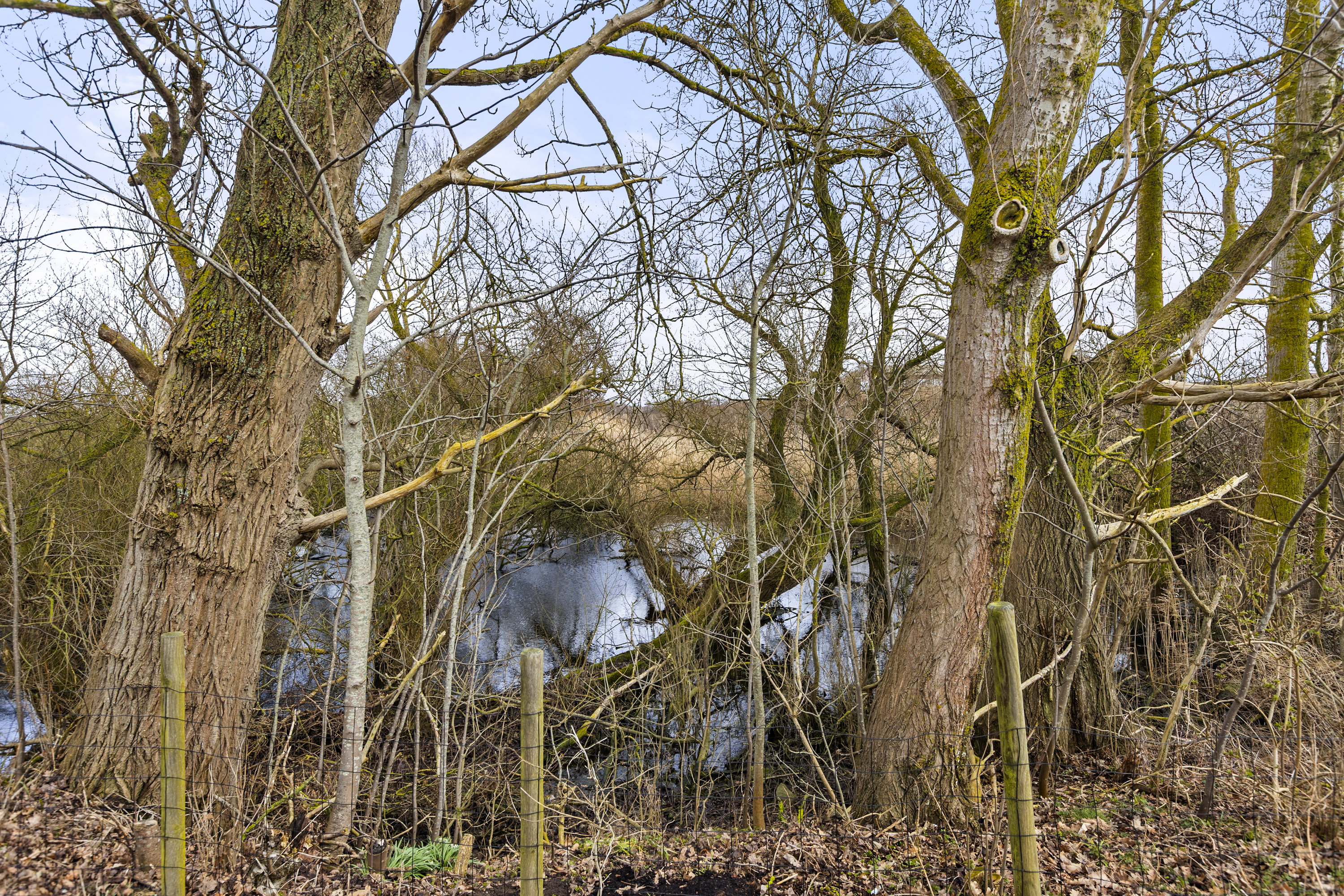 Fremhævet område billede i fuldskærmstilstand. Billede af Søstremosevej 1, 4400 Kalundborg