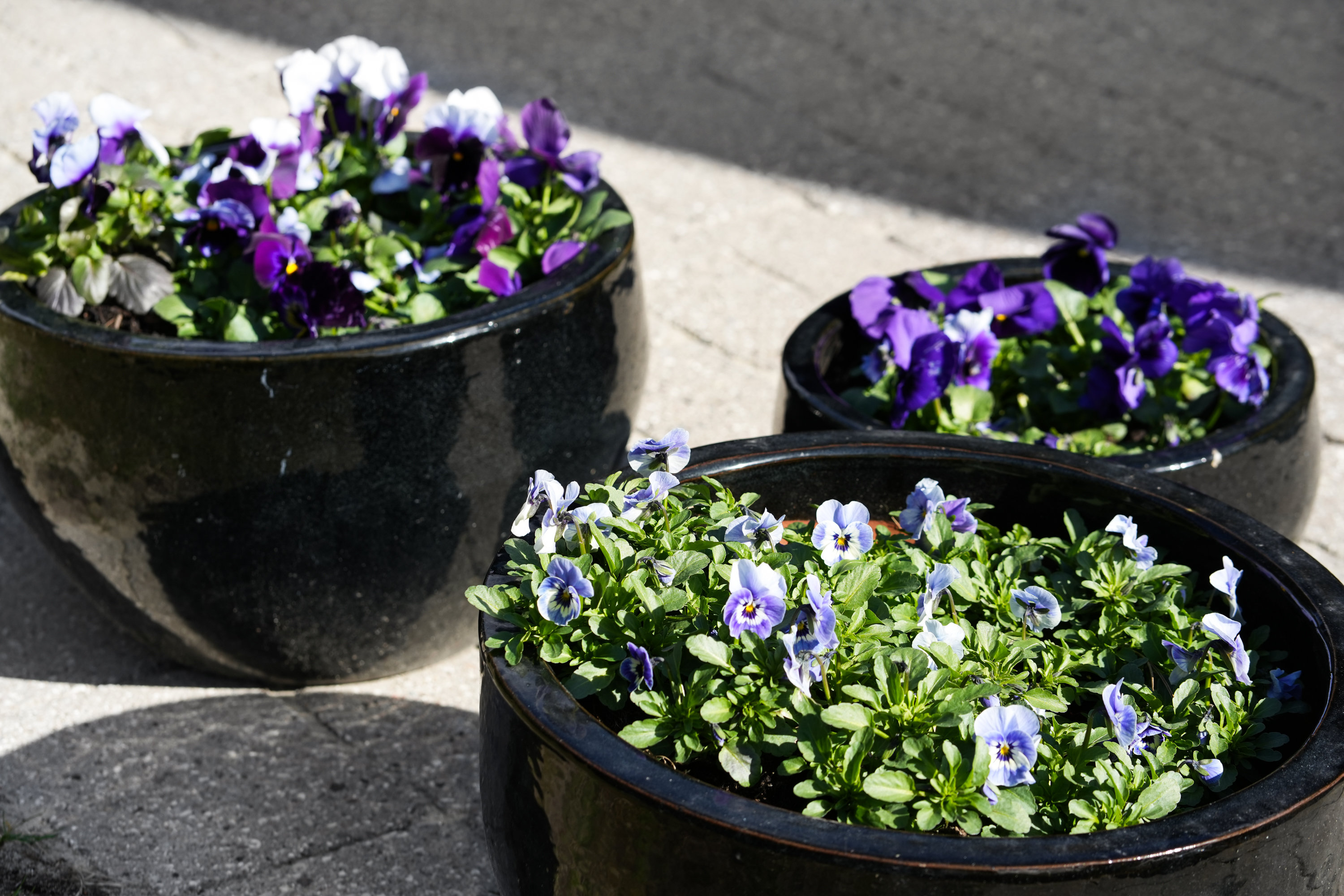 Fremhævet have billede i fuldskærmstilstand. Billede af Ordrup Jagtvej 4B, 2920 Charlottenlund