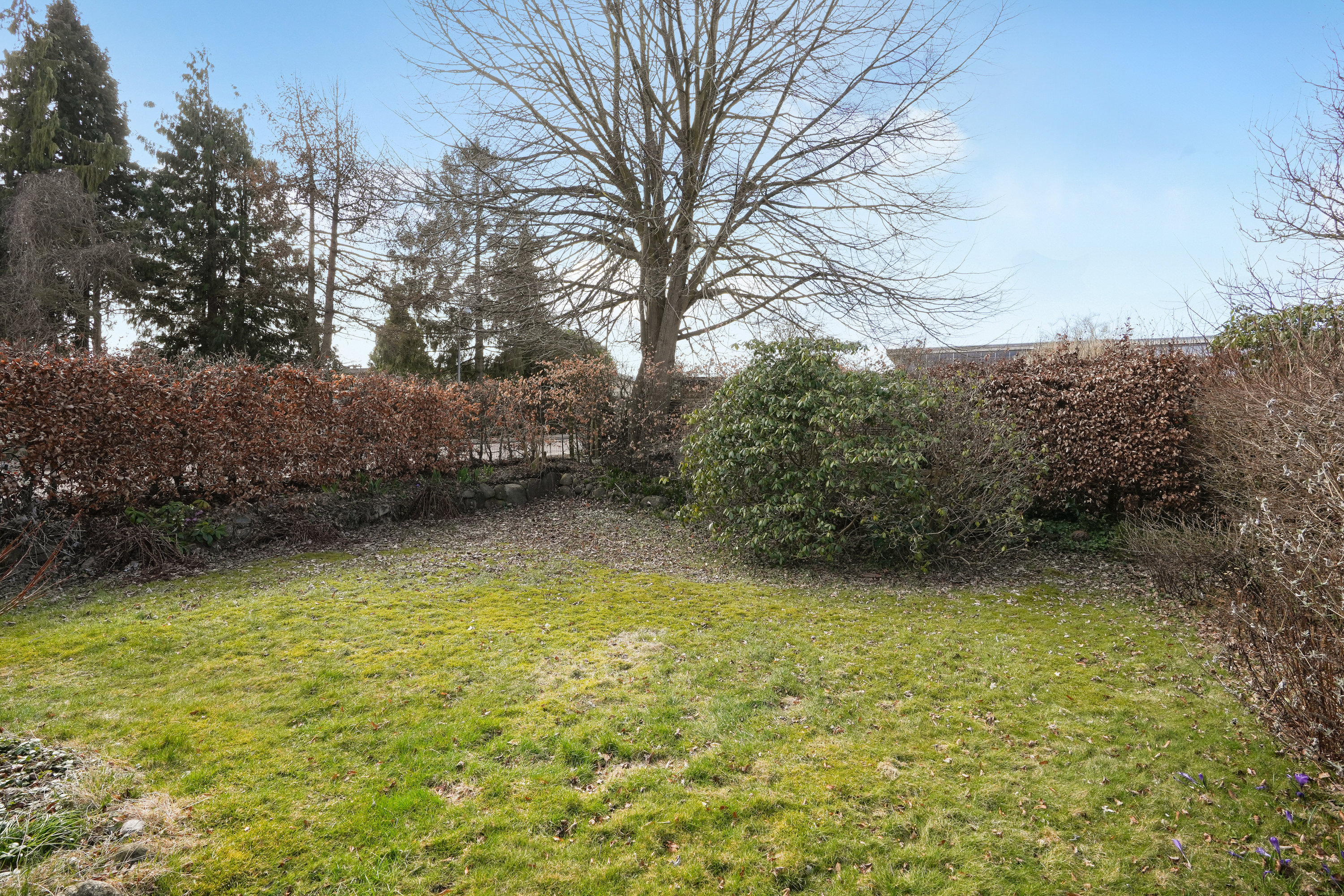 Fremhævet have billede i fuldskærmstilstand. Billede af Fyrrevang 43, 2830 Virum