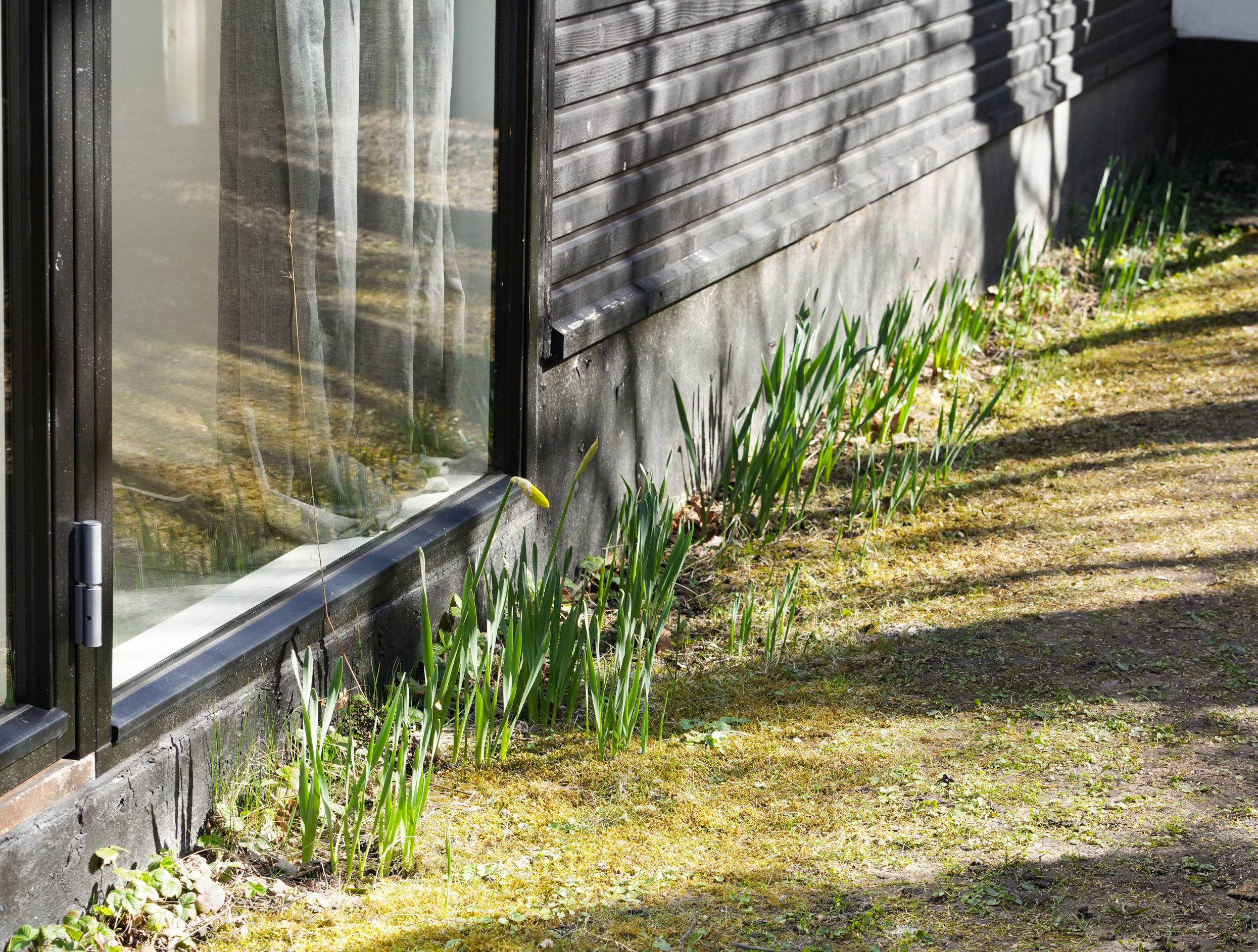 Fremhævet have billede i fuldskærmstilstand. Billede af Ordrup Jagtvej 4B, 2920 Charlottenlund