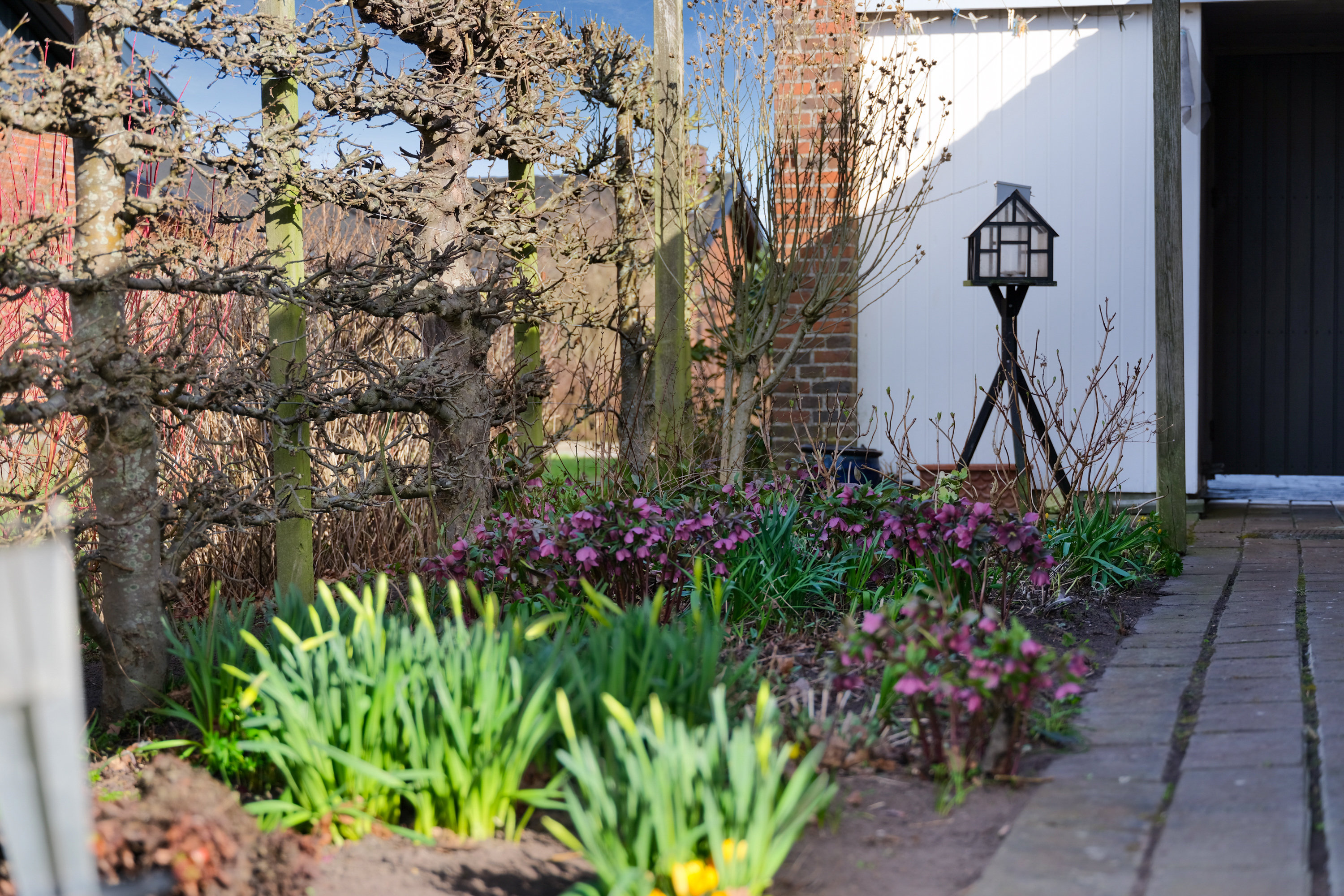 Fremhævet have billede i fuldskærmstilstand. Billede af Grævlingevænget 185, 5800 Nyborg