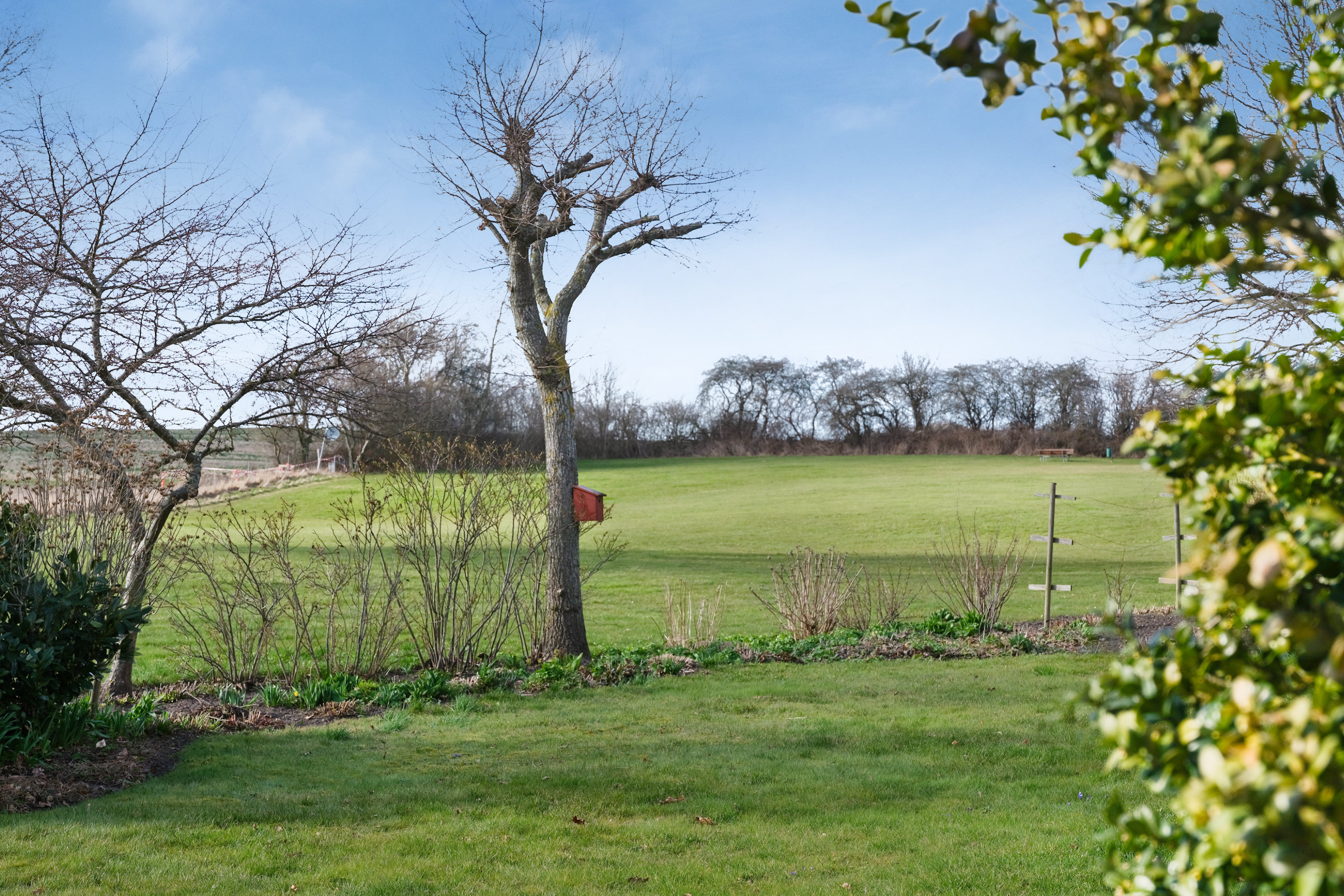 Fremhævet have billede i fuldskærmstilstand. Billede af Grævlingevænget 185, 5800 Nyborg