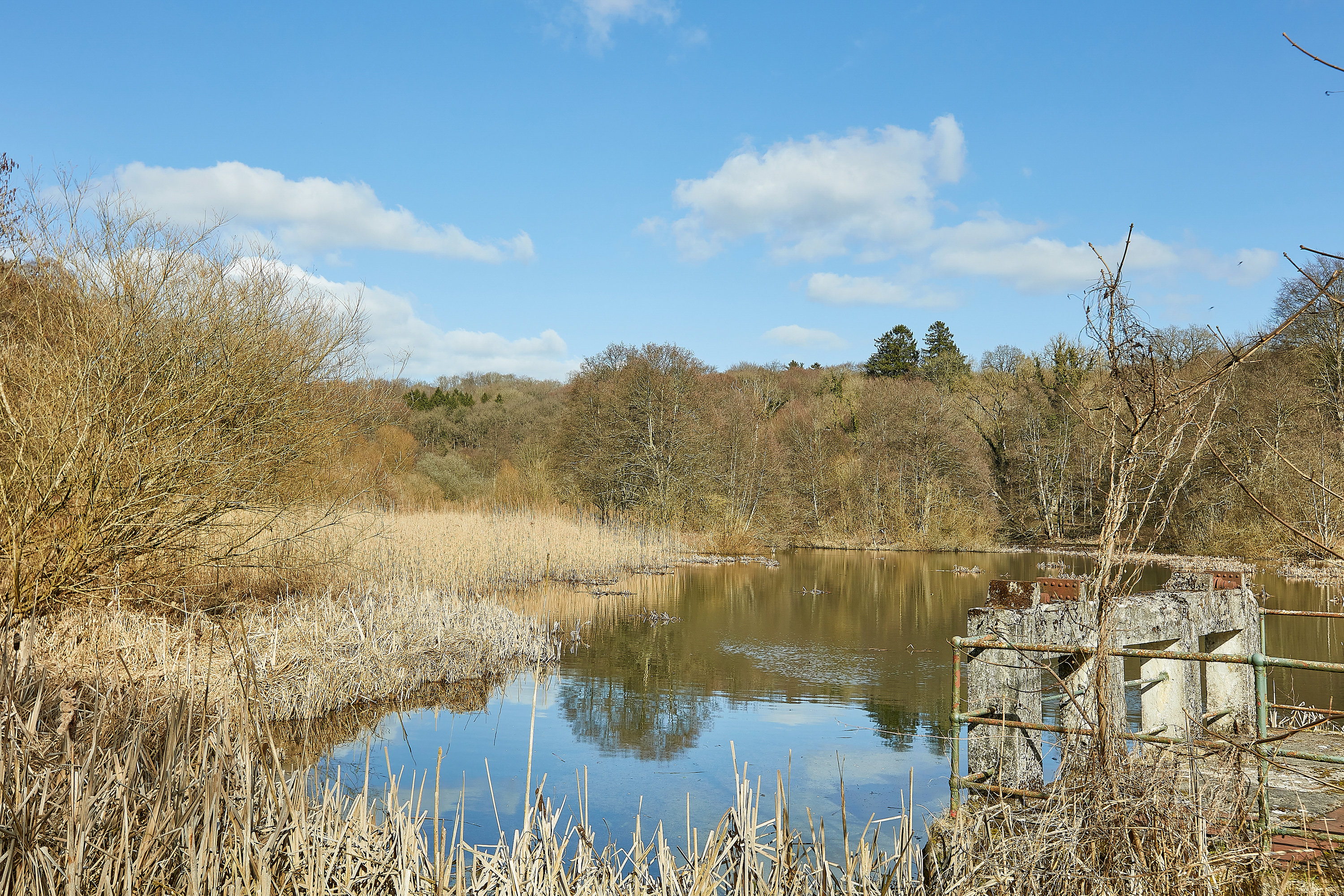 Fremhævet området billede i fuldskærmstilstand. Billede af Gl Egebjergvej 26C, Egebjerg, 8700 Horsens