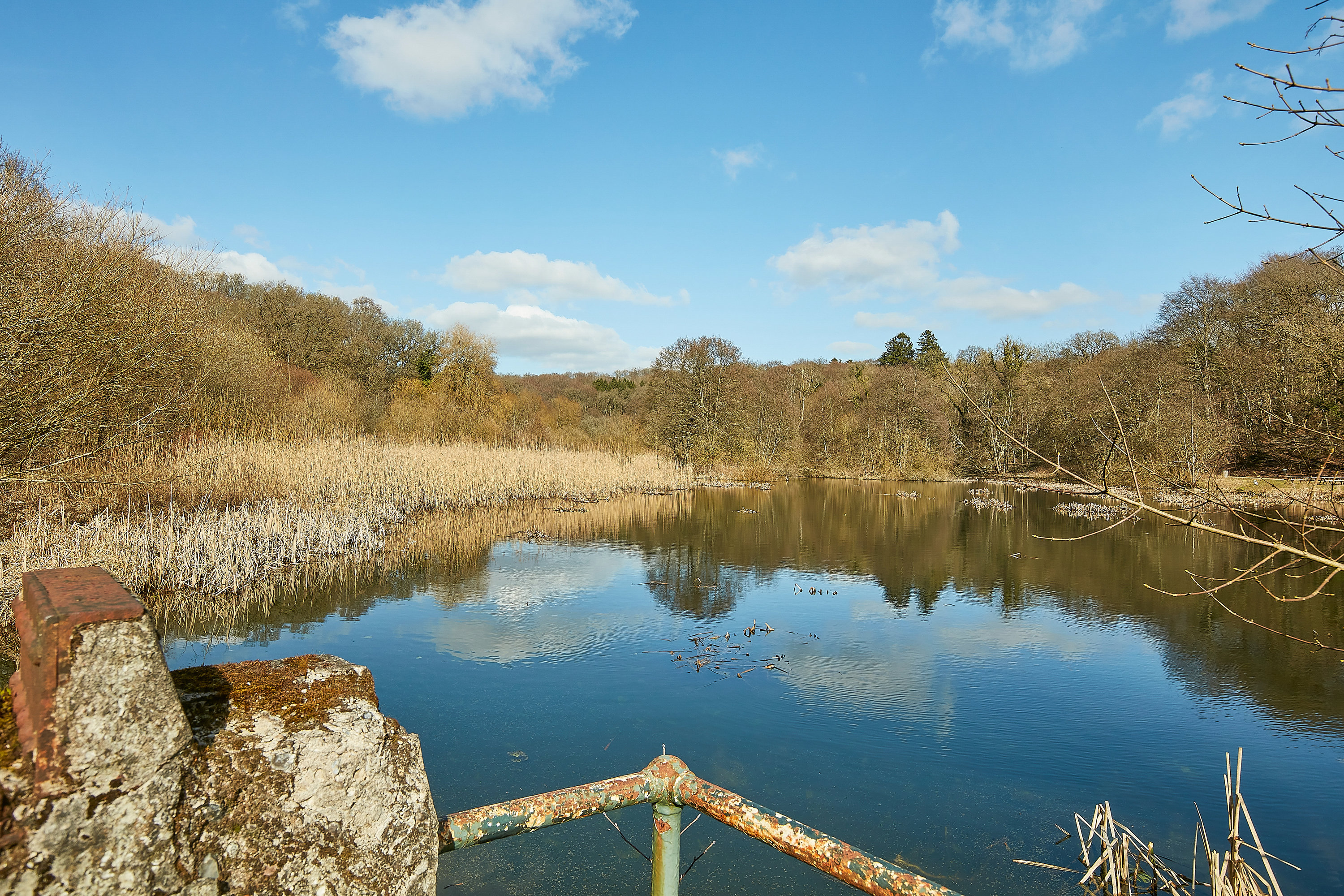 Fremhævet området billede i fuldskærmstilstand. Billede af Gl Egebjergvej 26C, Egebjerg, 8700 Horsens