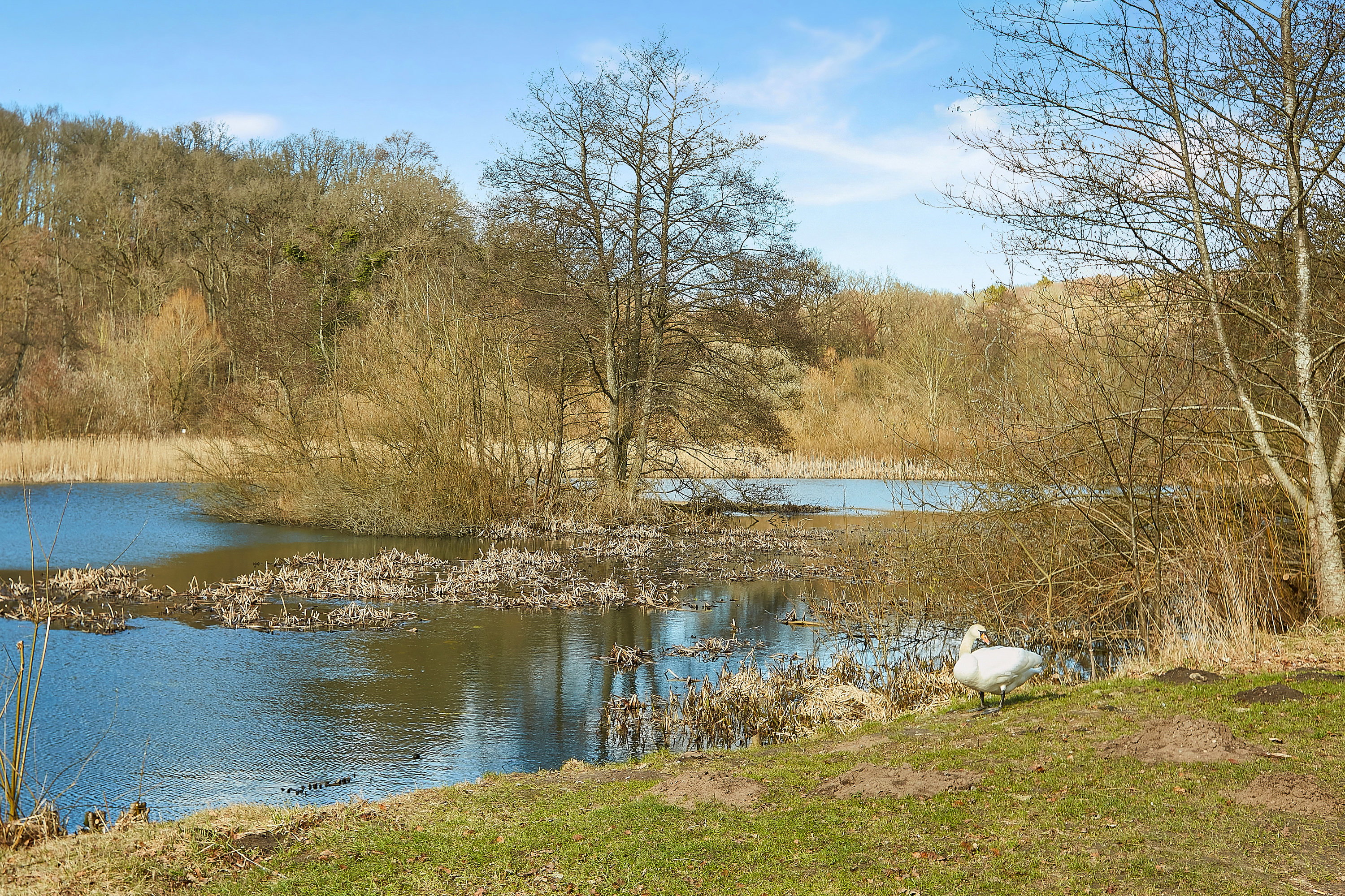 Fremhævet området billede i fuldskærmstilstand. Billede af Gl Egebjergvej 26C, Egebjerg, 8700 Horsens