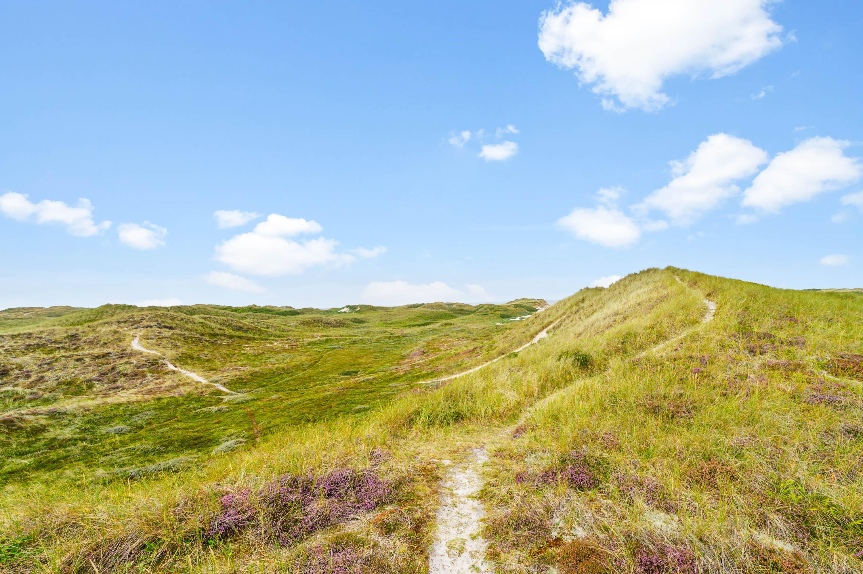 Fremhævet udsigt billede i fuldskærmstilstand. Billede af Nordsøvej 346, Søndervig, 6950 Ringkøbing