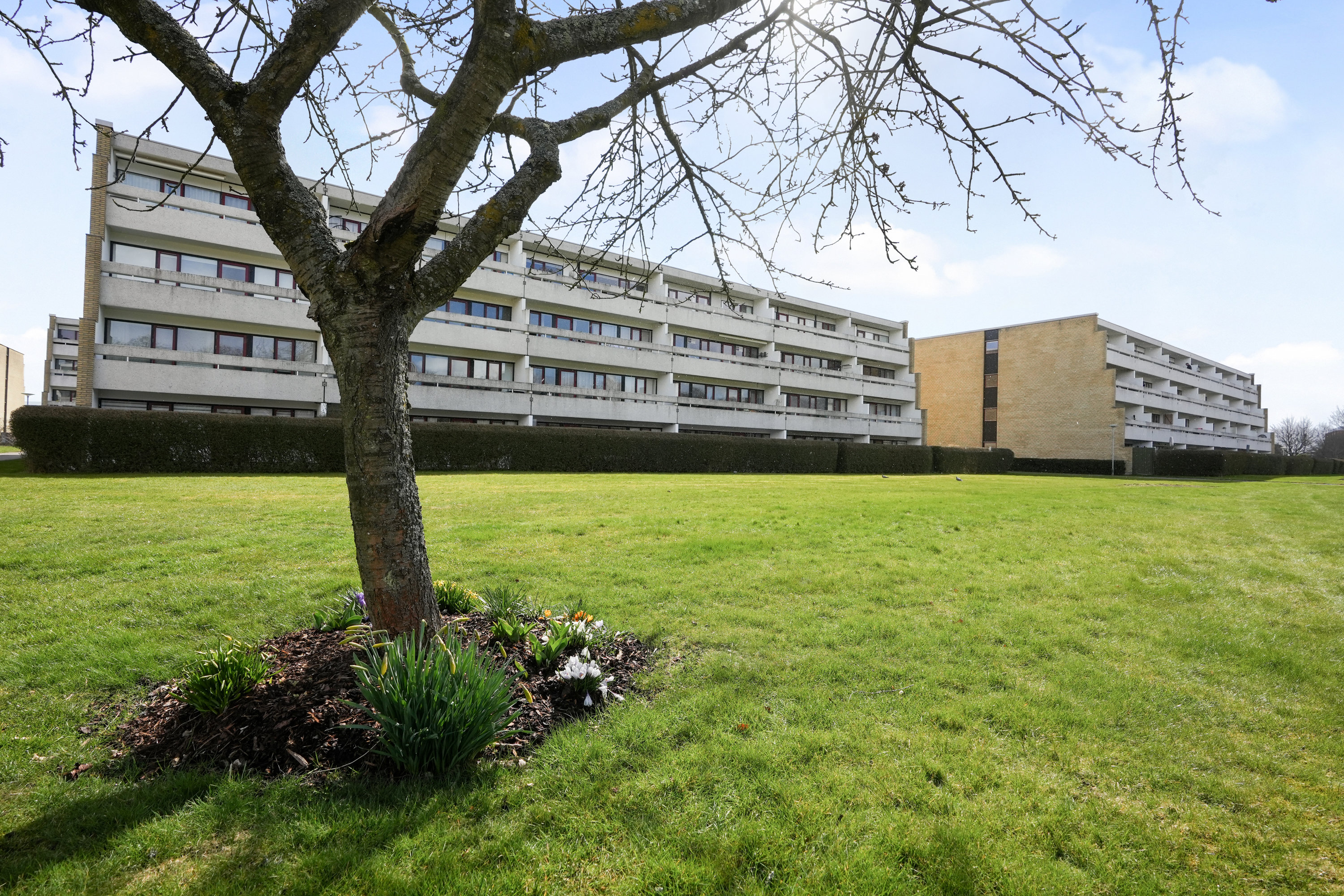 Fremhævet andet billede i fuldskærmstilstand. Billede af Gildbrovej 49, 2. 181., 2635 Ishøj