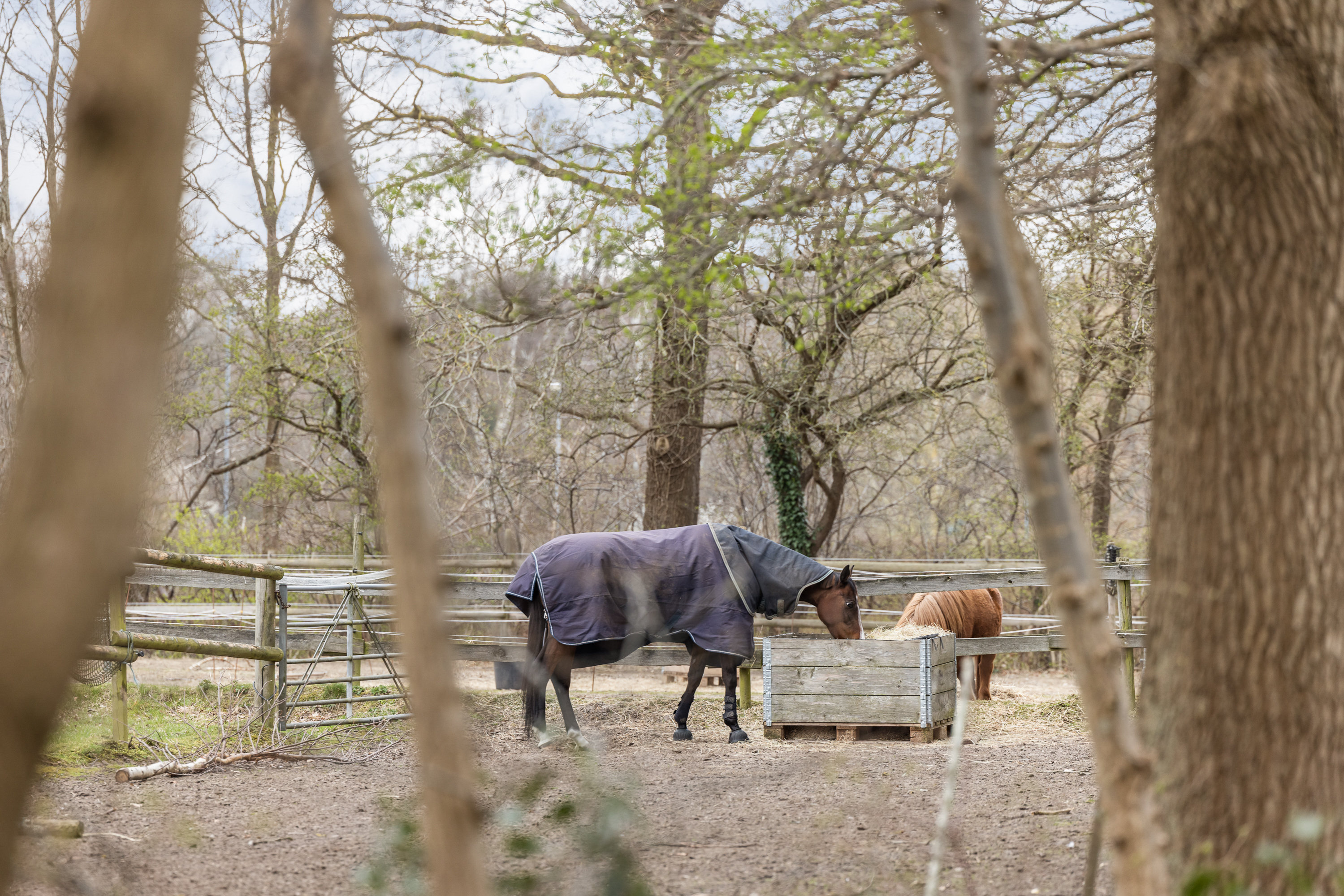 Fremhævet have billede i fuldskærmstilstand. Billede af Hjortekærbakken 30, 2800 Kongens Lyngby