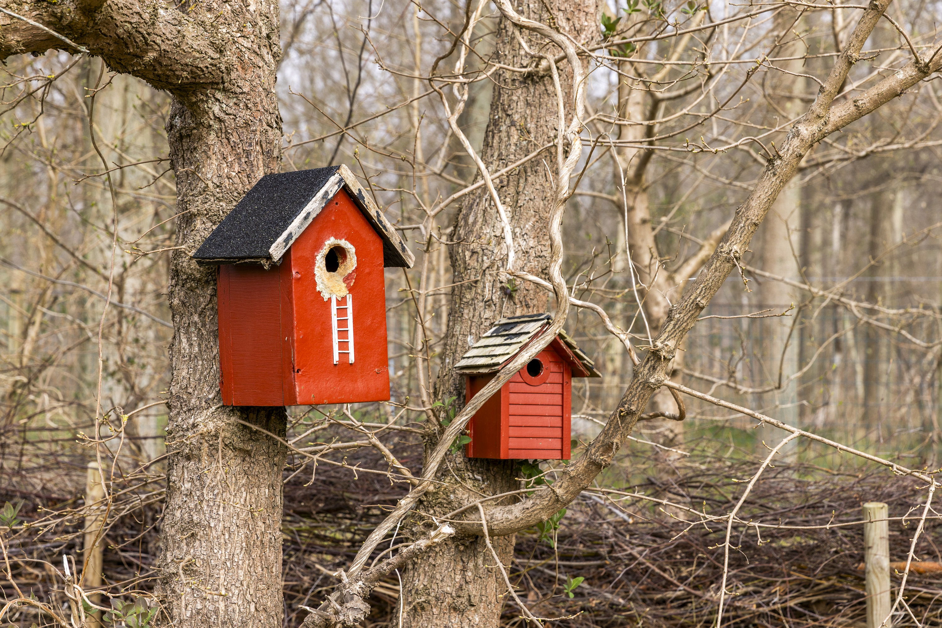 Fremhævet have billede i fuldskærmstilstand. Billede af Lærkevej 13, Kobæk, 4230 Skælskør