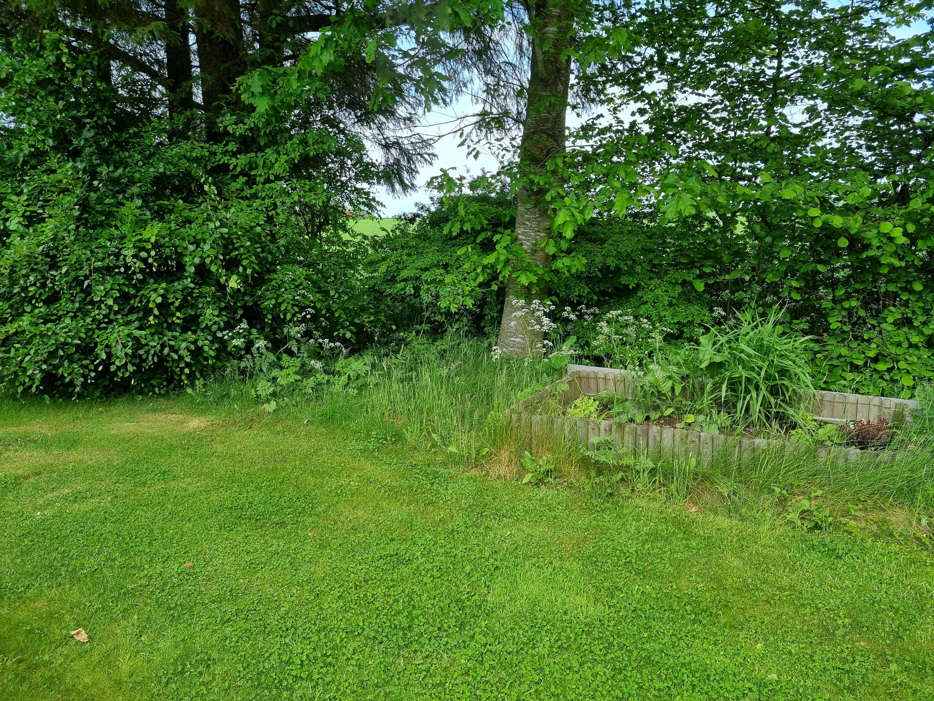 Fremhævet  billede i fuldskærmstilstand. Billede af Østerhedenvej 45, 9830 Tårs