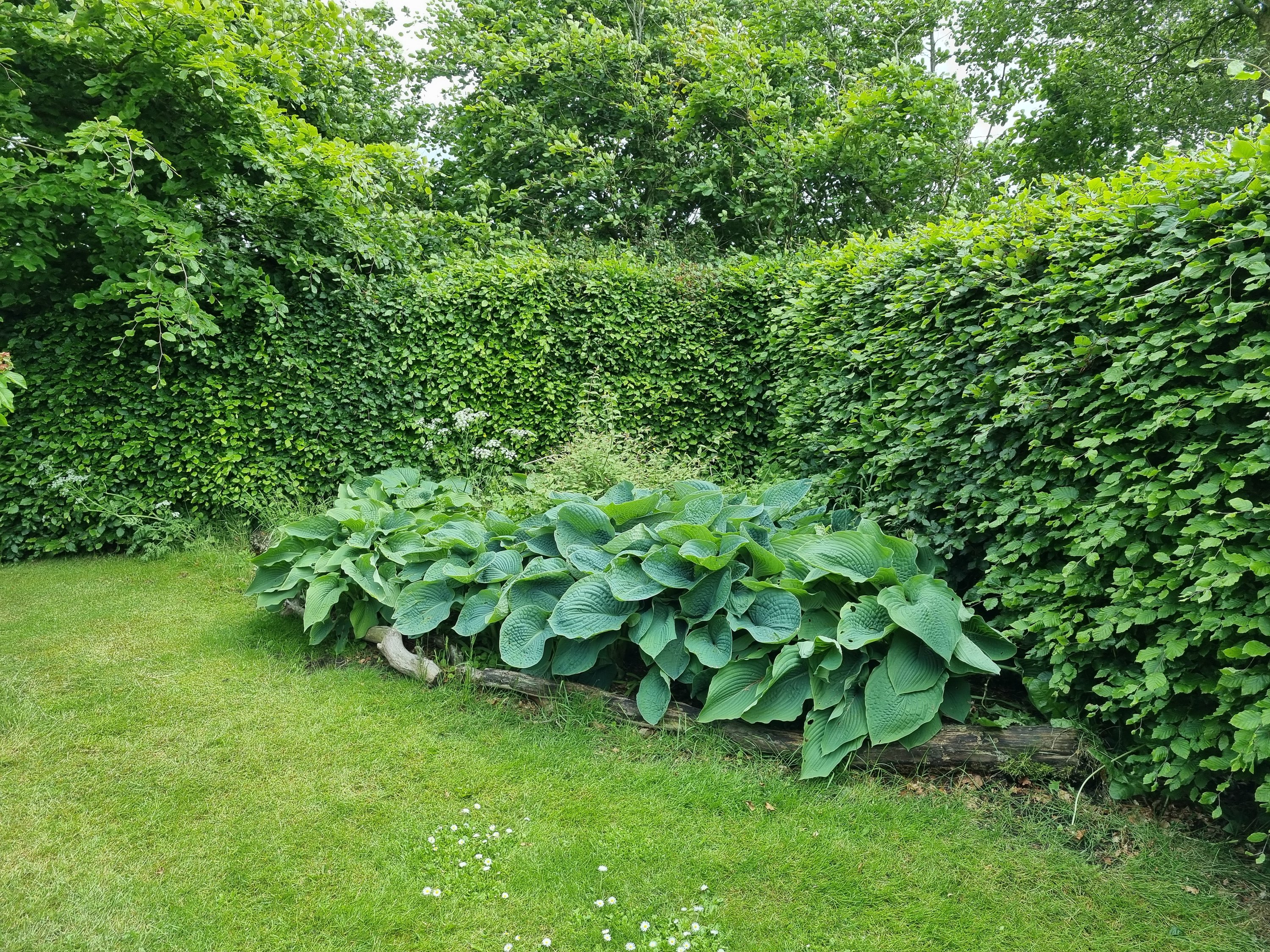 Fremhævet  billede i fuldskærmstilstand. Billede af Østerhedenvej 45, 9830 Tårs