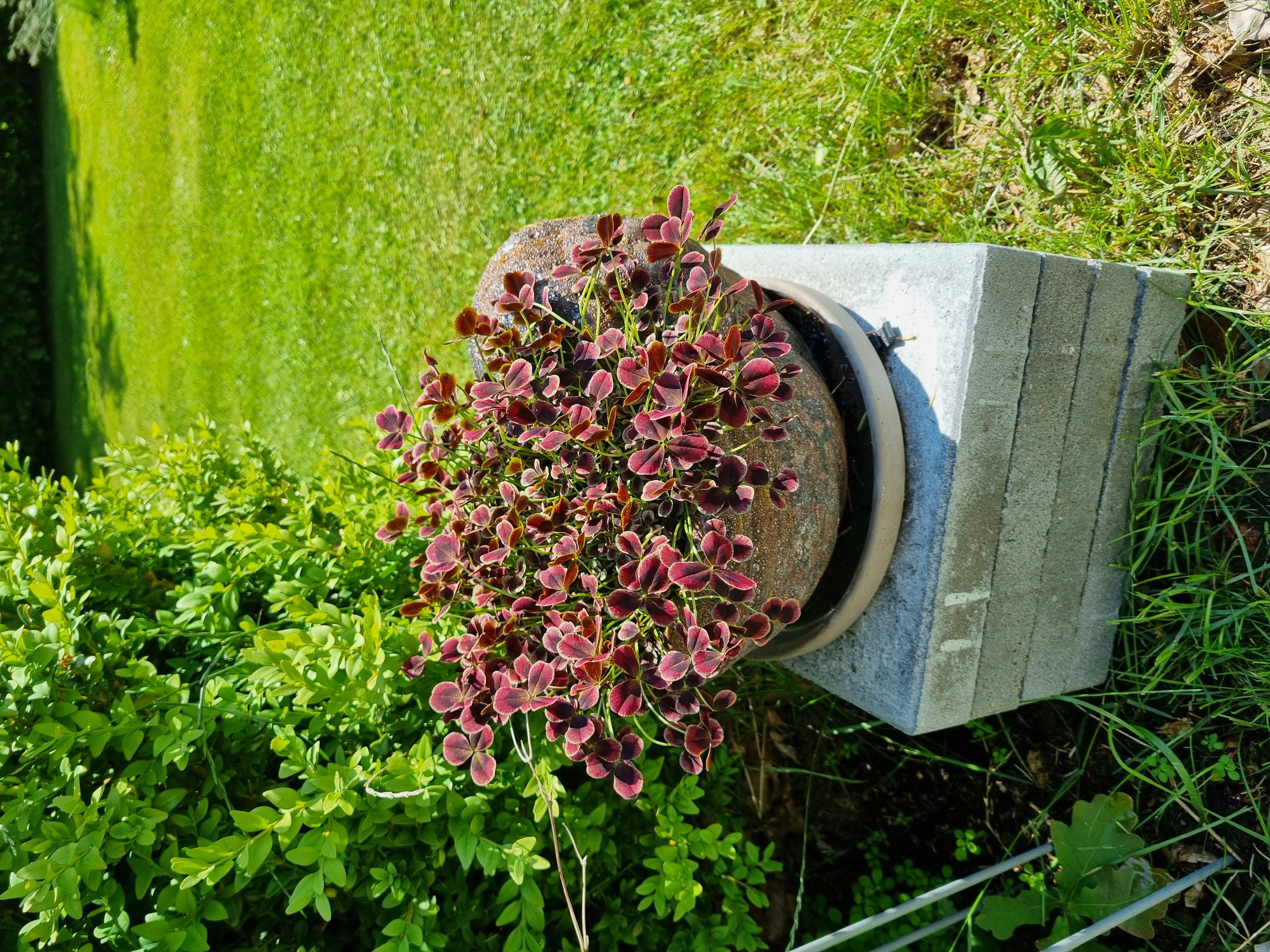 Fremhævet  billede i fuldskærmstilstand. Billede af Østerhedenvej 45, 9830 Tårs