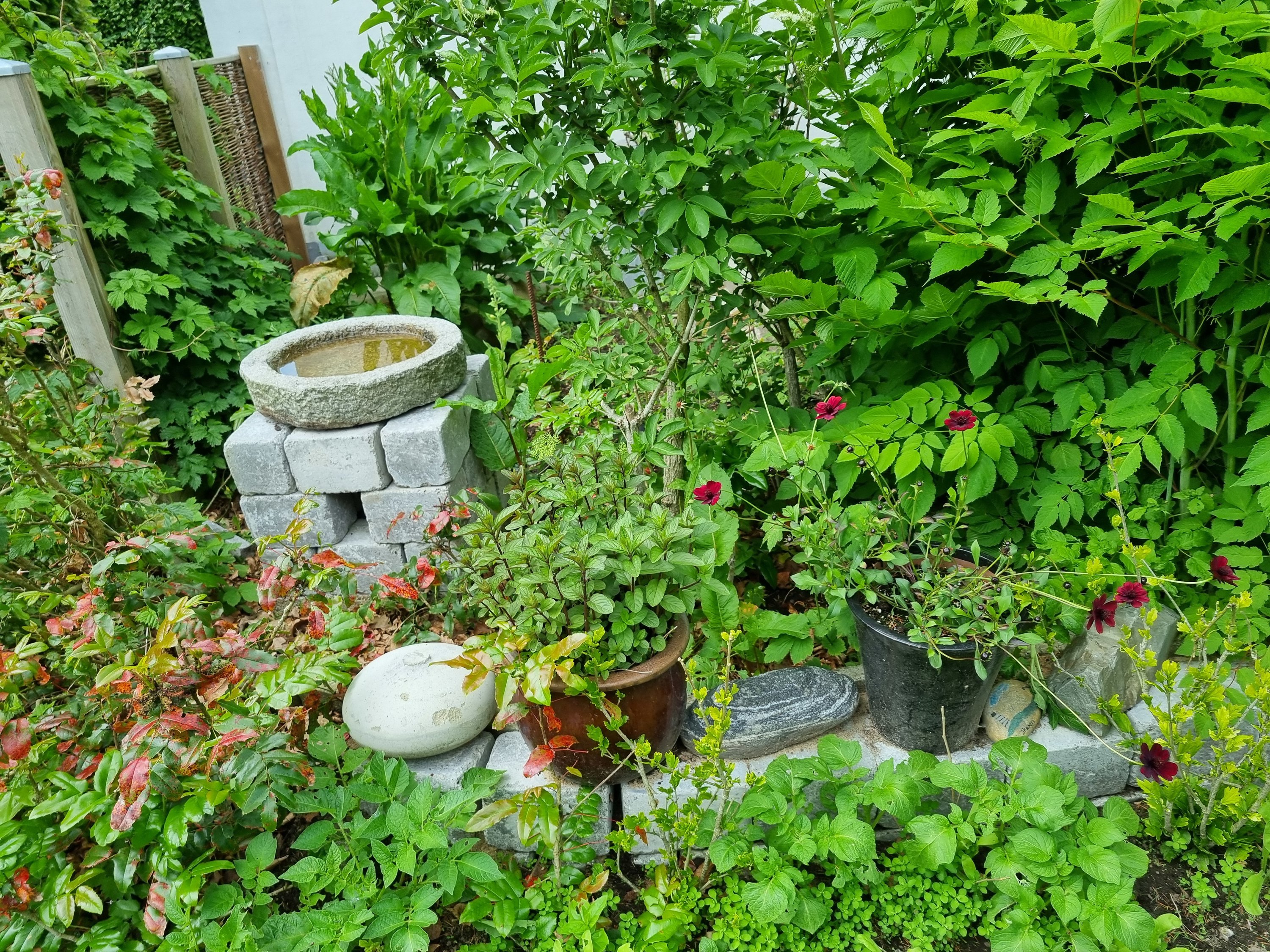 Fremhævet  billede i fuldskærmstilstand. Billede af Østerhedenvej 45, 9830 Tårs