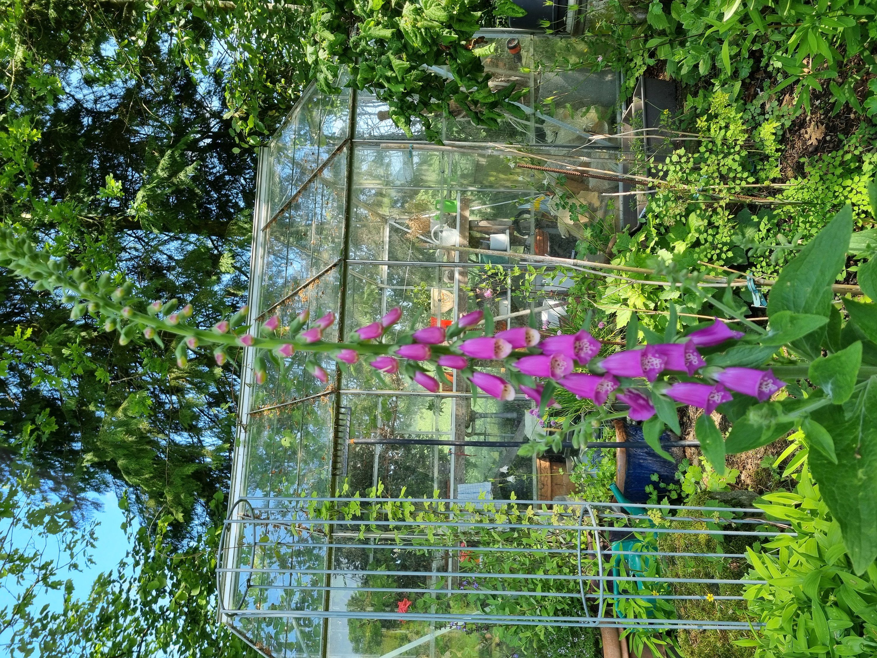 Fremhævet  billede i fuldskærmstilstand. Billede af Østerhedenvej 45, 9830 Tårs